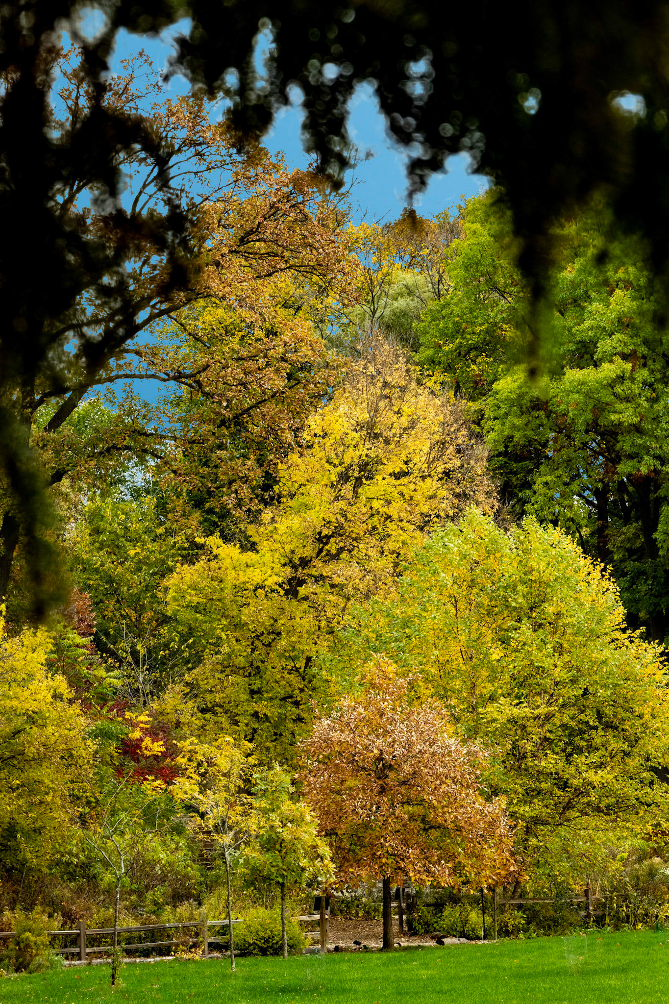 Hawthorn Glenn - Milwaukee WI Fall 2020