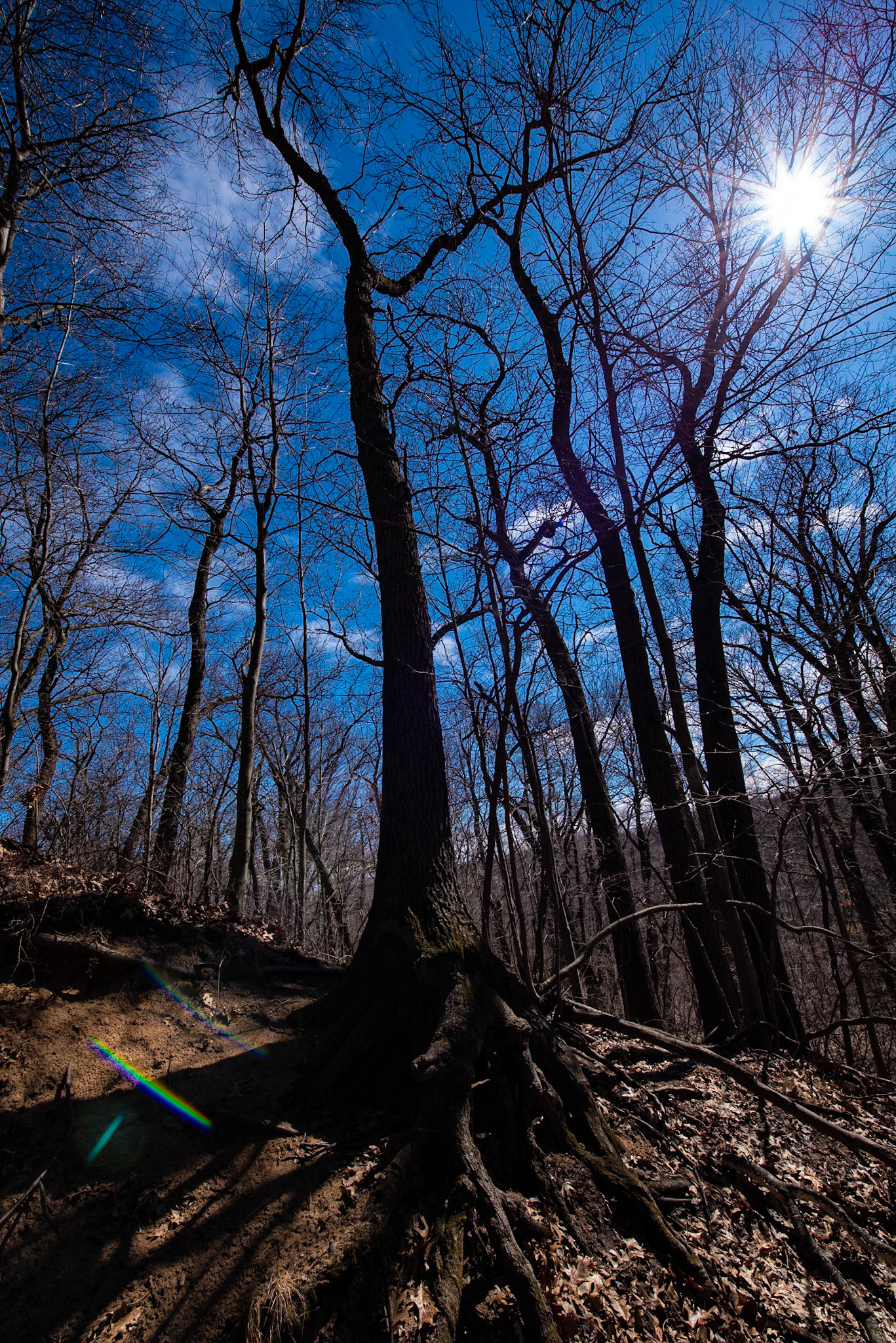 Indiana Dunes SP - March 2019