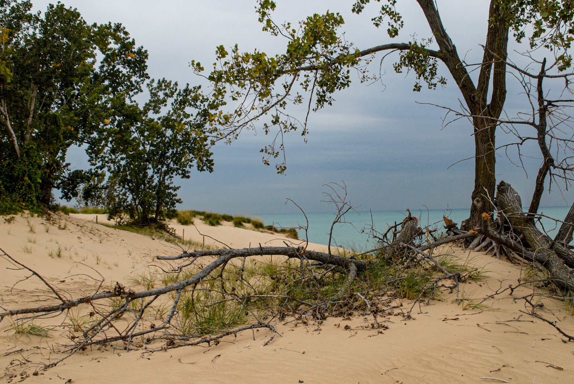 The Lake from Mt Baldy - Indiana Nat's Lakeshore - Michigan City IN