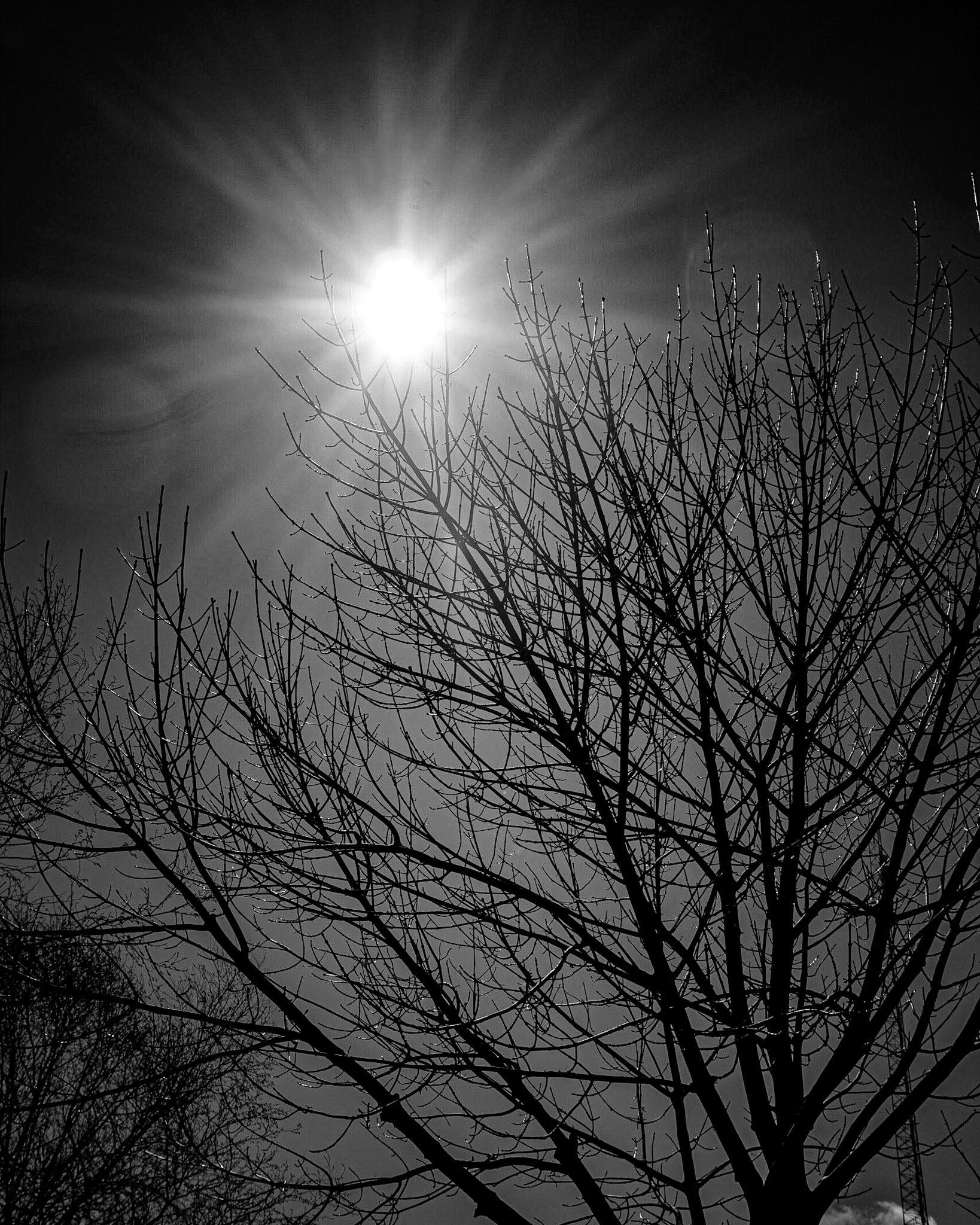 North Beach Racine sunshine - March 2021