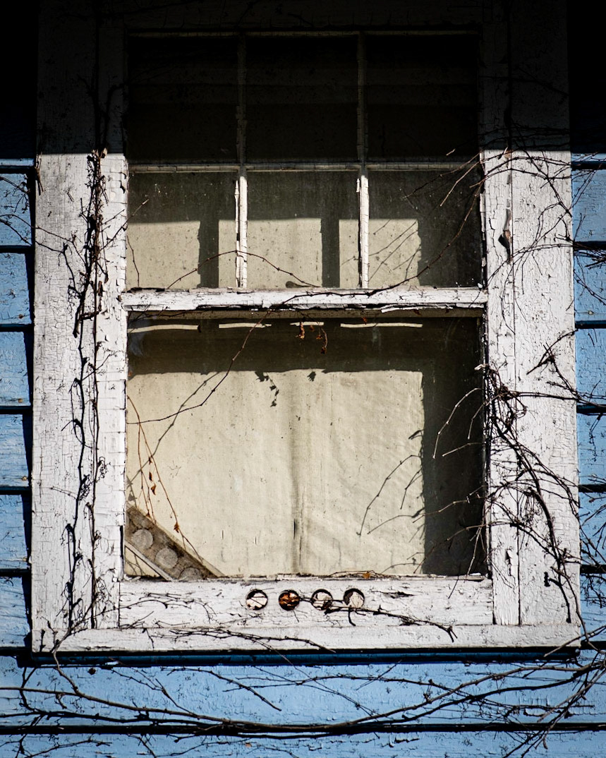 Windows - Wauwatosa, WI 2020