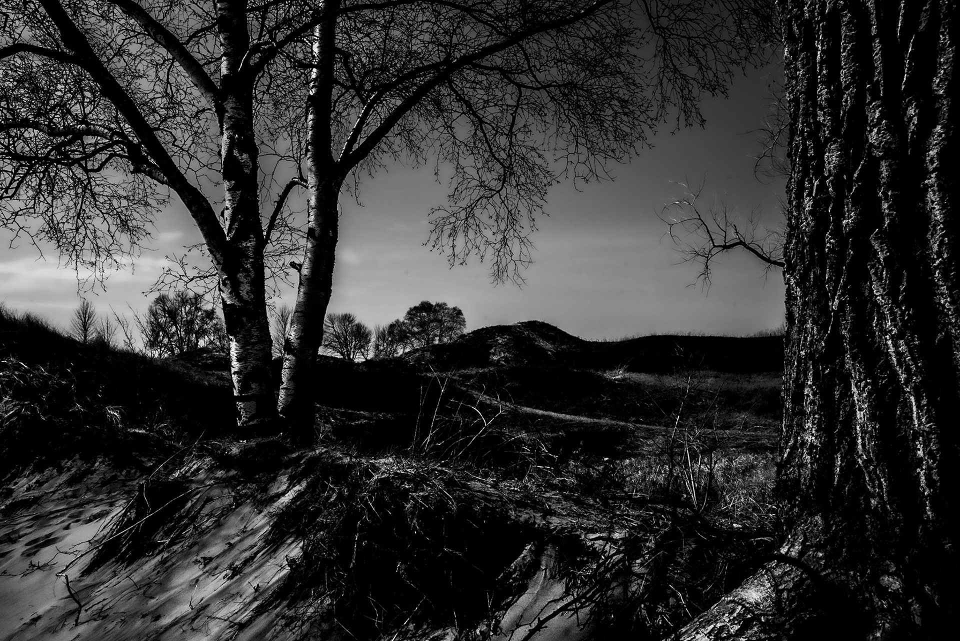 Kohler Andrae SP, Sheboygan WI  2021