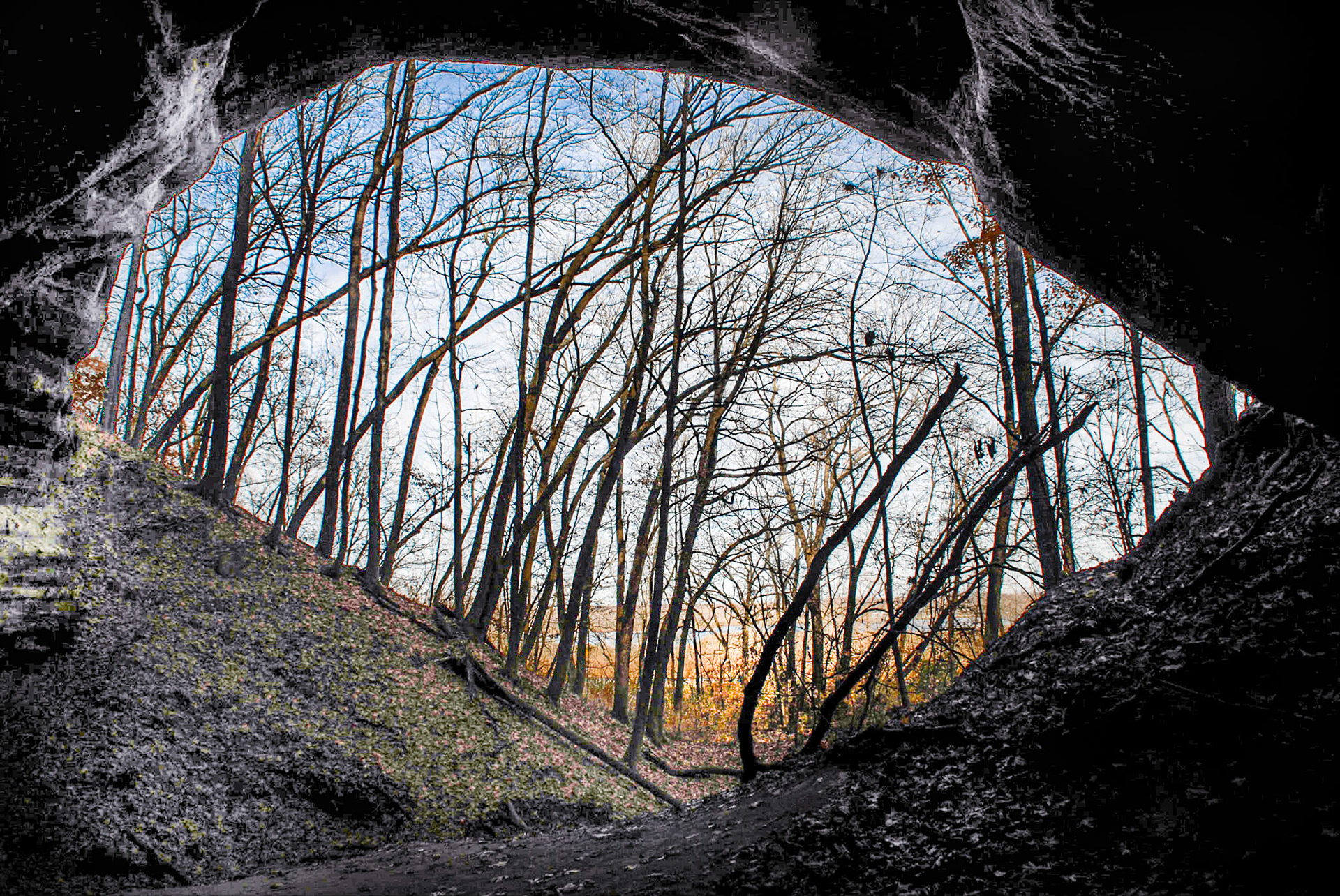 Overhang Trail - Starved Rock SP, Utica IL