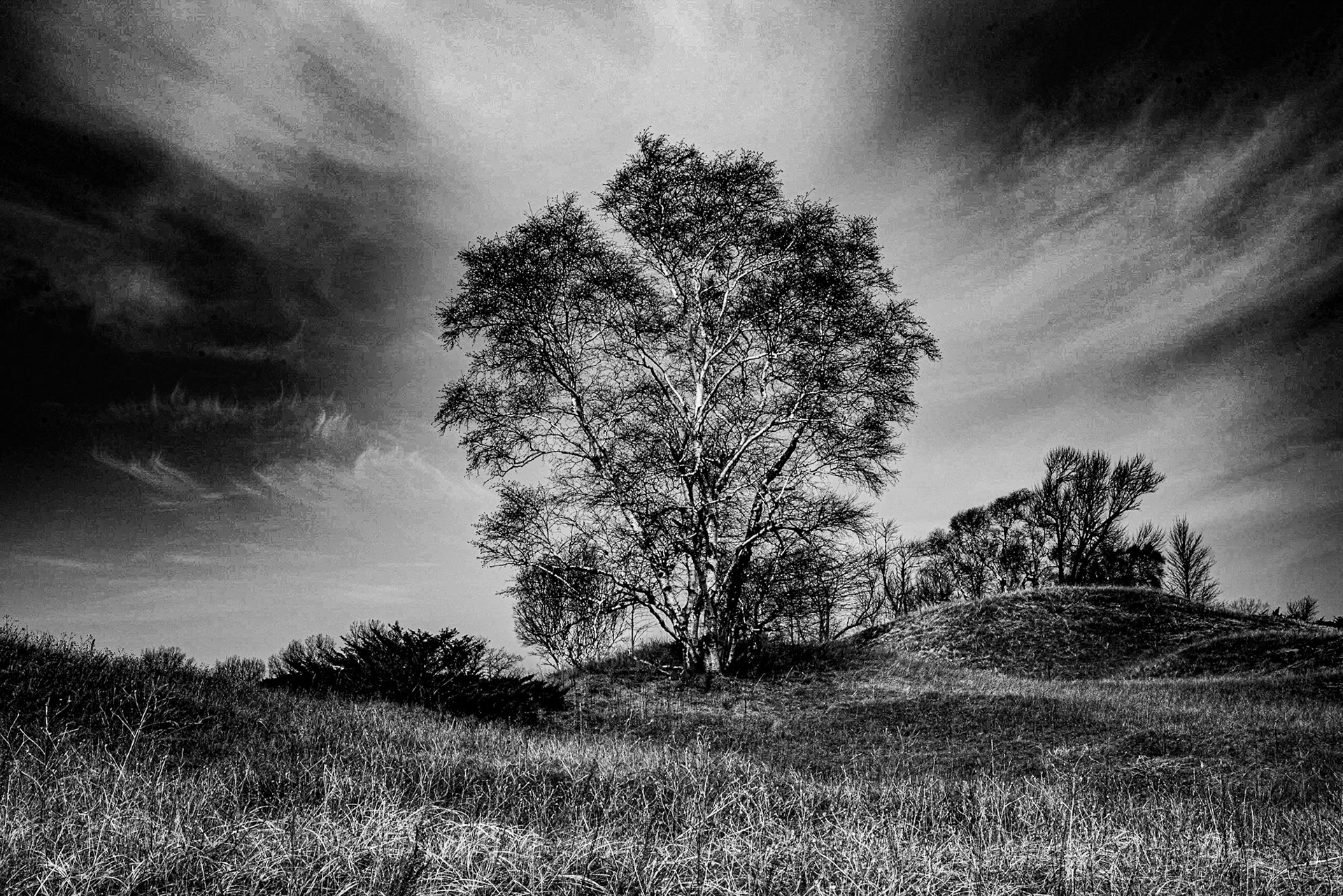 Kohler Andrea SP, Sheboygan WI 2021