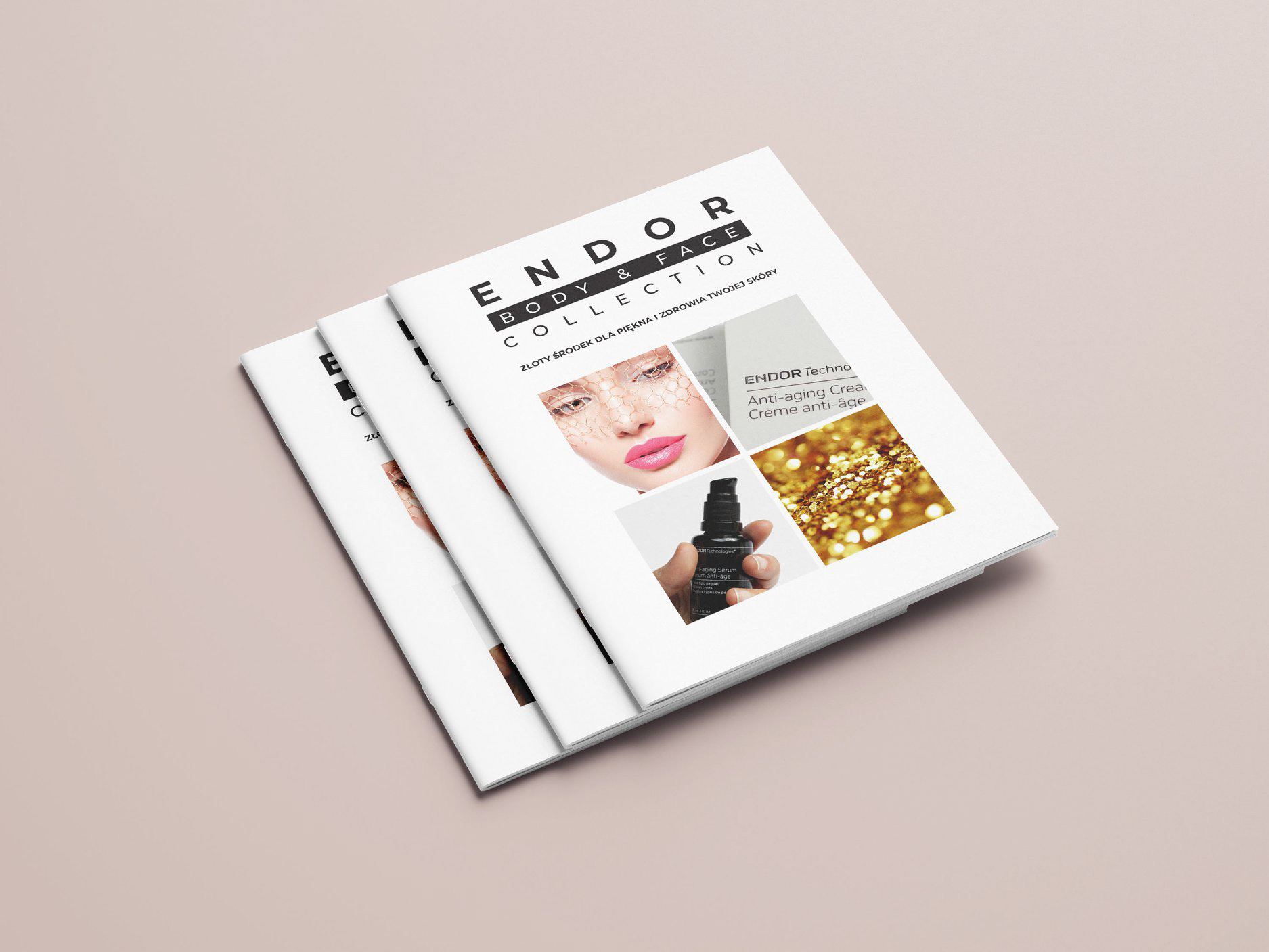 Katalog produktów Endor