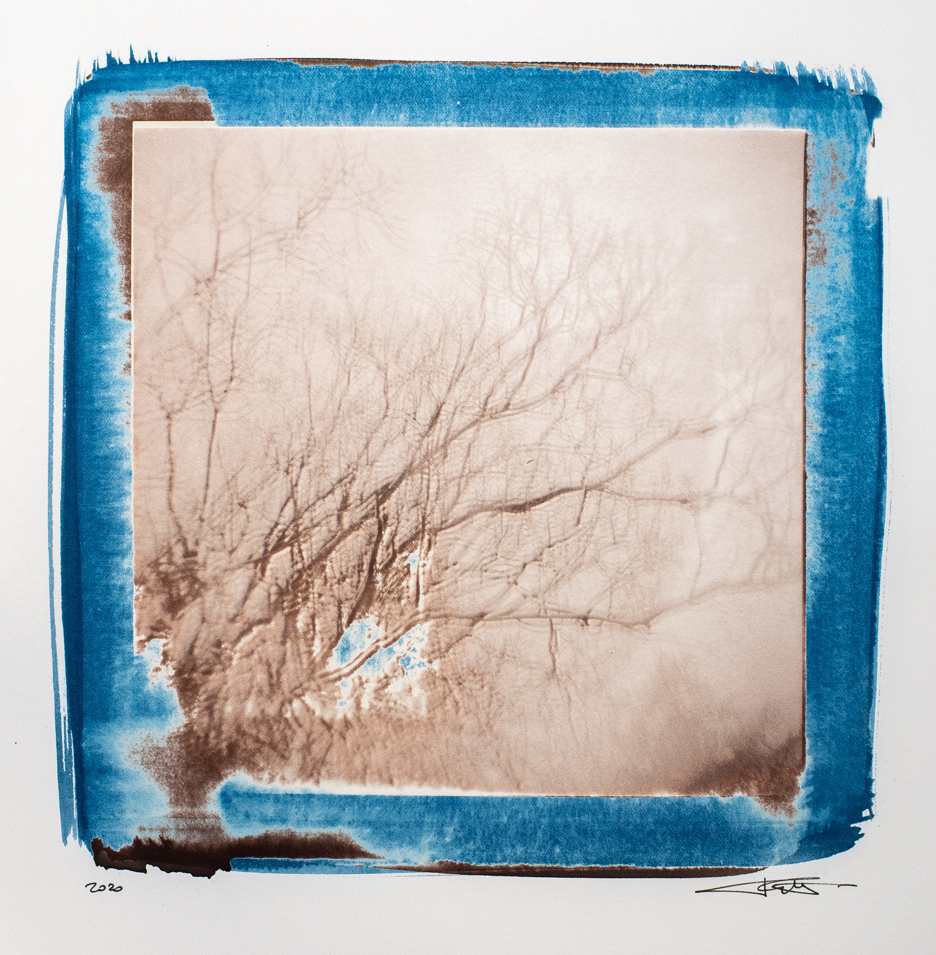 Alberi d'inverno - Blue Van Dyke