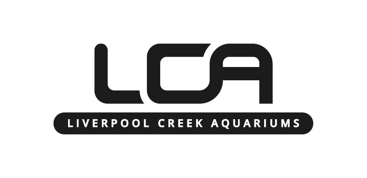 LCA Logo