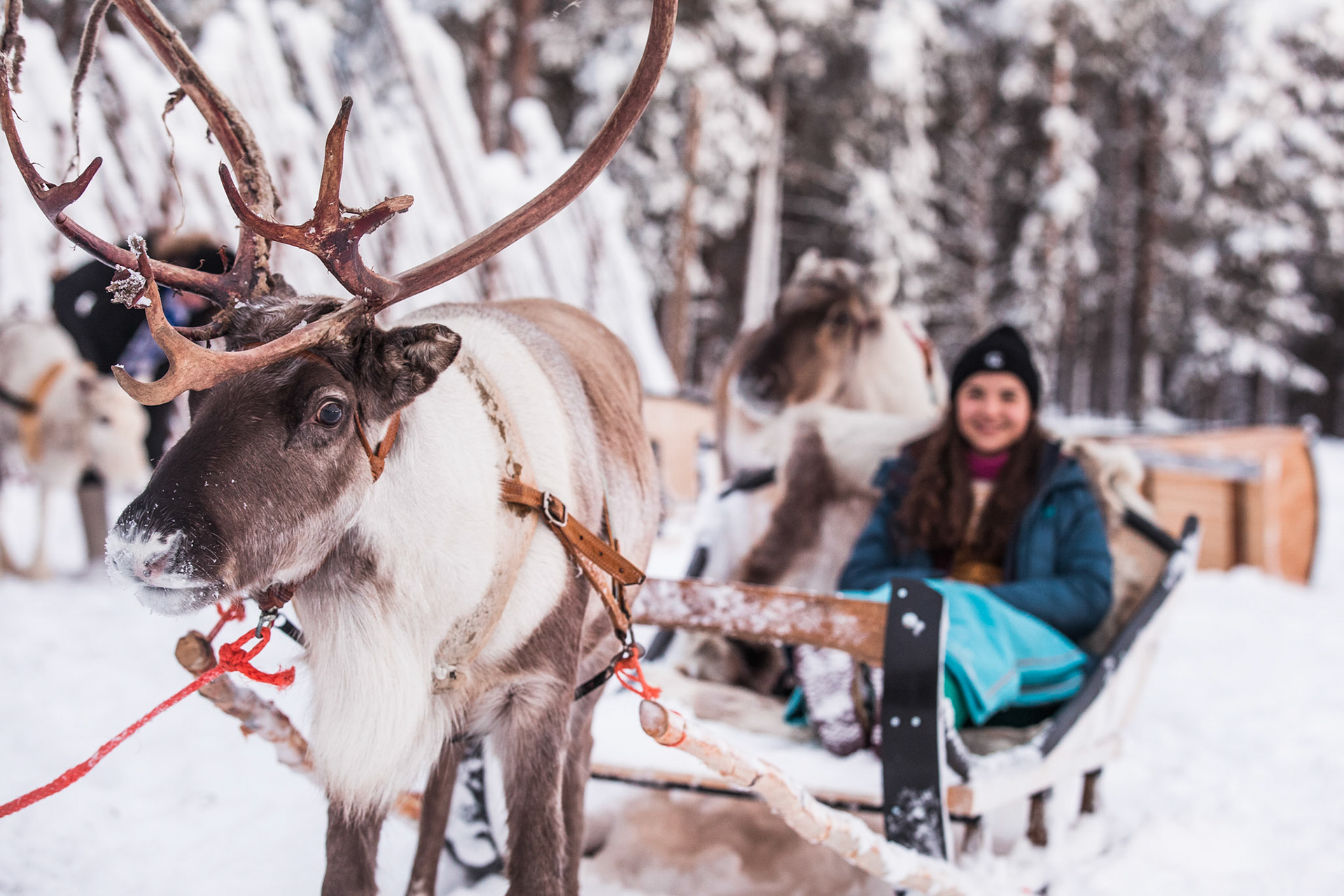 Aurora Village Winter 2019 Ivalo Lapland Finland