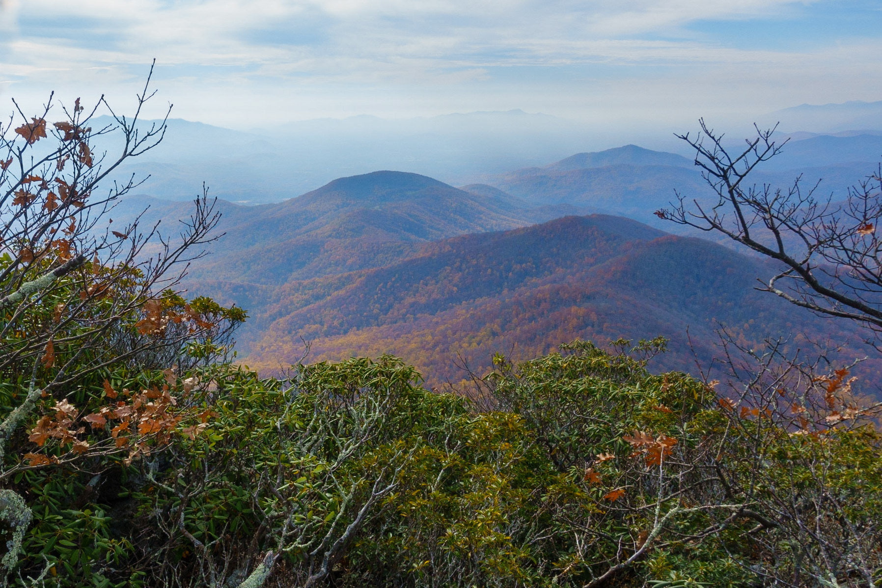 Mountain Majesty
