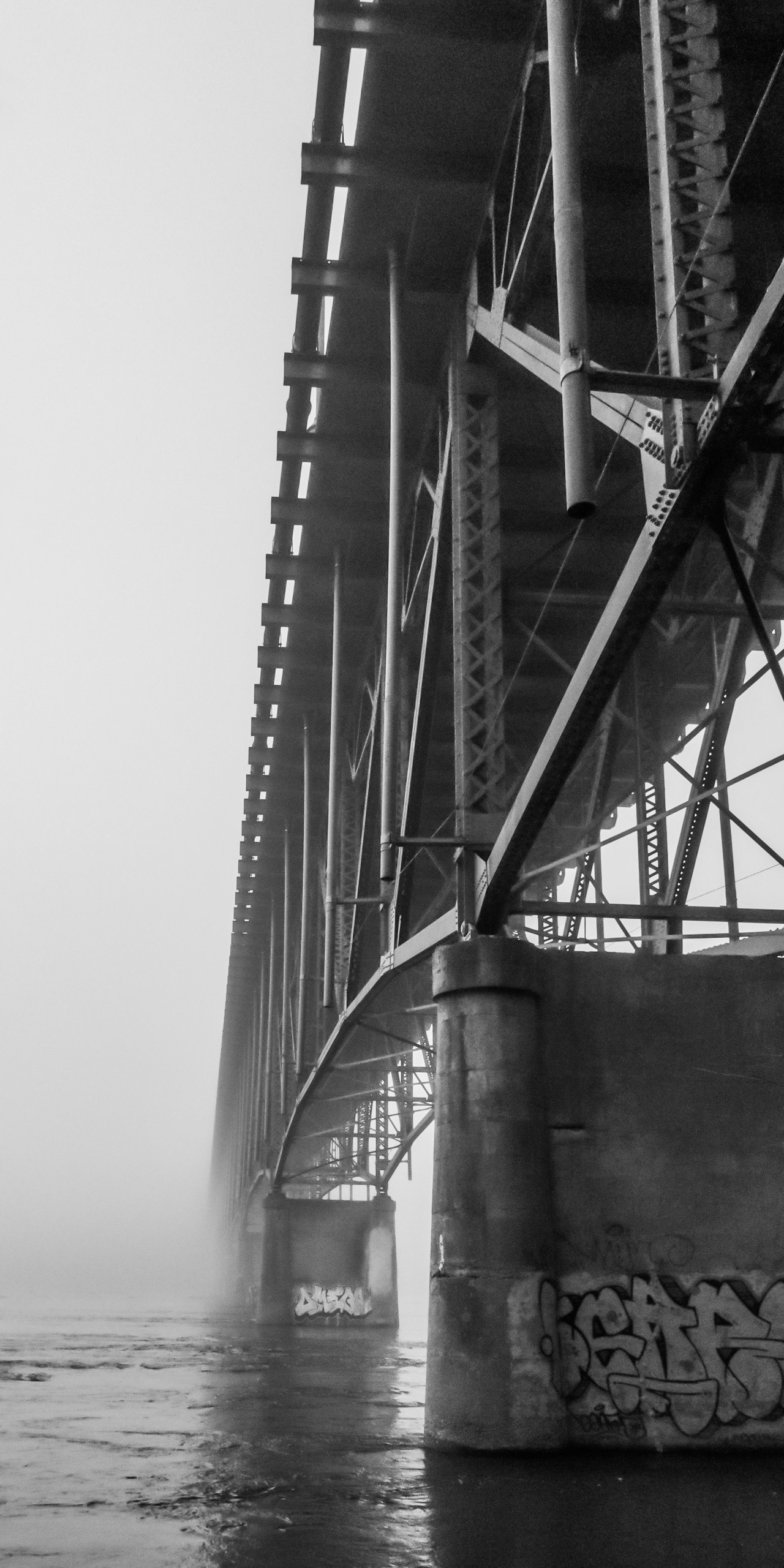 Vanishing Bridge: Boulevard Bridge in the Fog