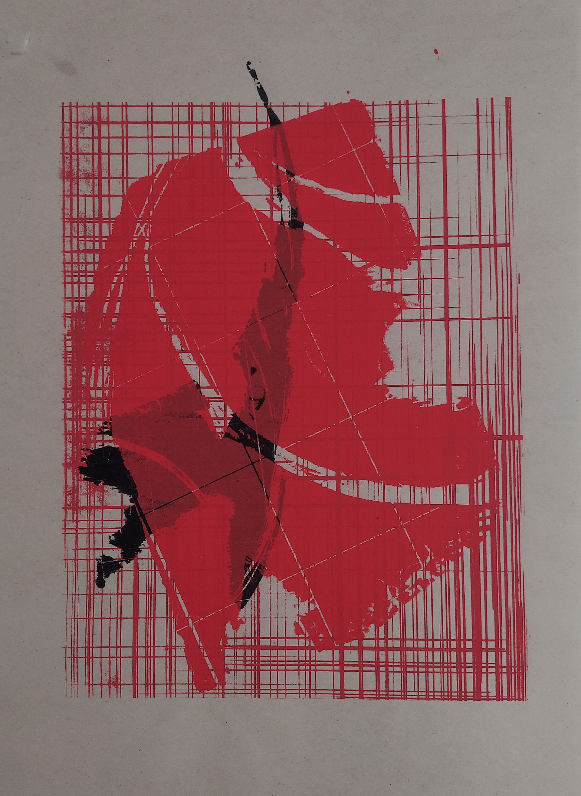 Screenprint with two different types of leaves being overlapped, the top leaf has a salmon pink color with a decayed style and a grid that divides it, the bottom leaf is also decayed with a black color and a grid, and in the background it has a salmon pink grid