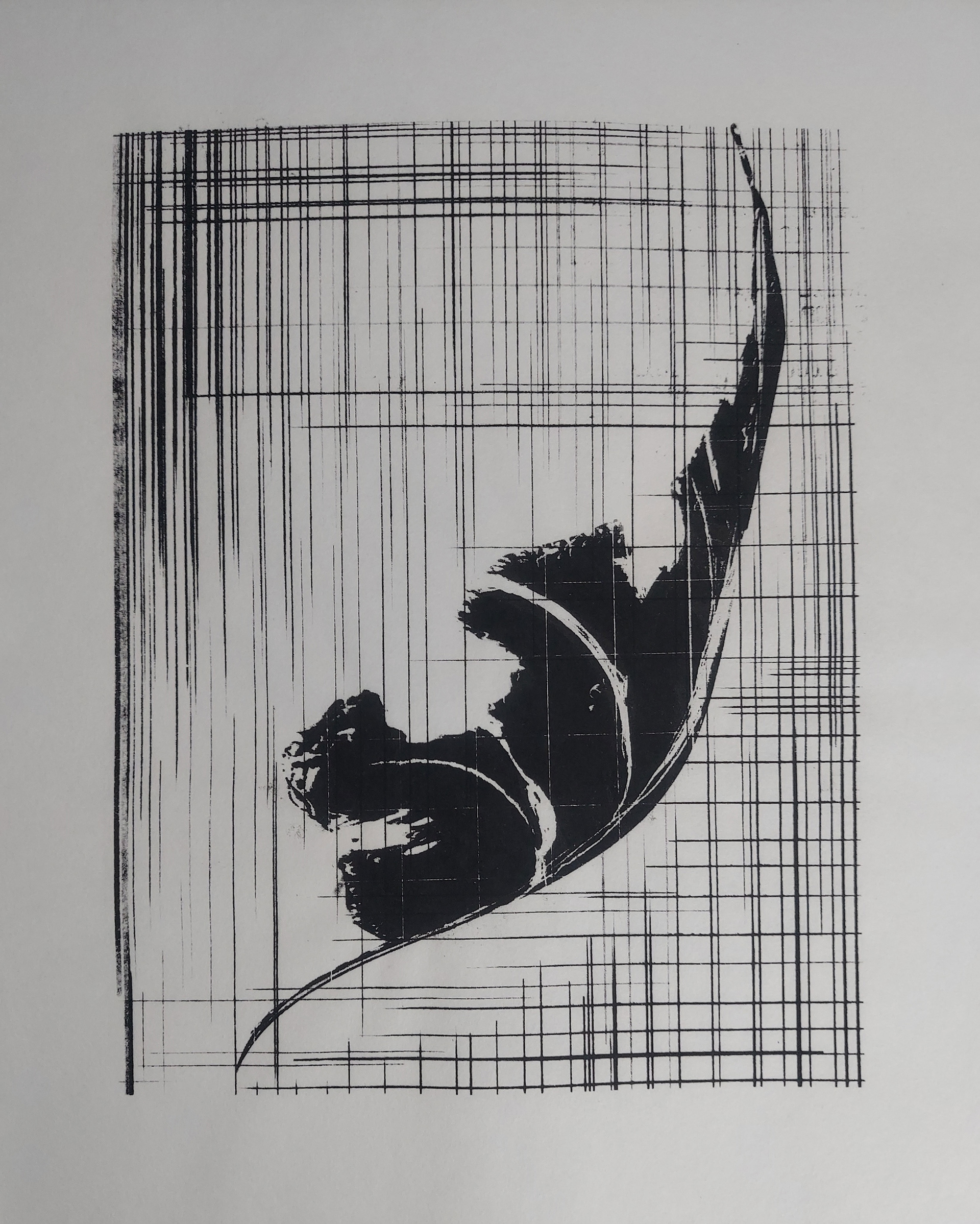 Leaf with grid background