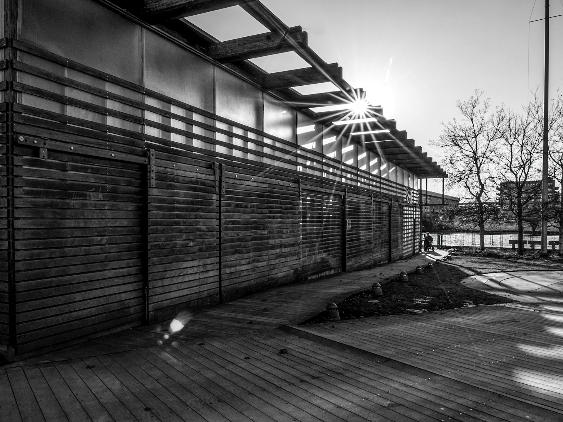 3.8.2020 Sunbeams &amp; Shadows