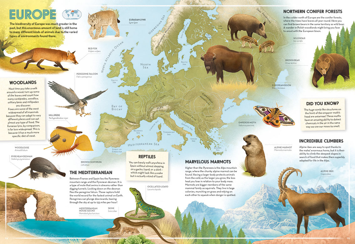 Illustrated map of Europe with various animals in their natural habitats.