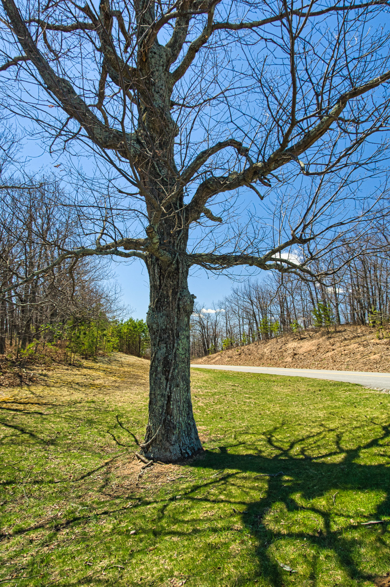 VA Blue Ridge Pkw 00017