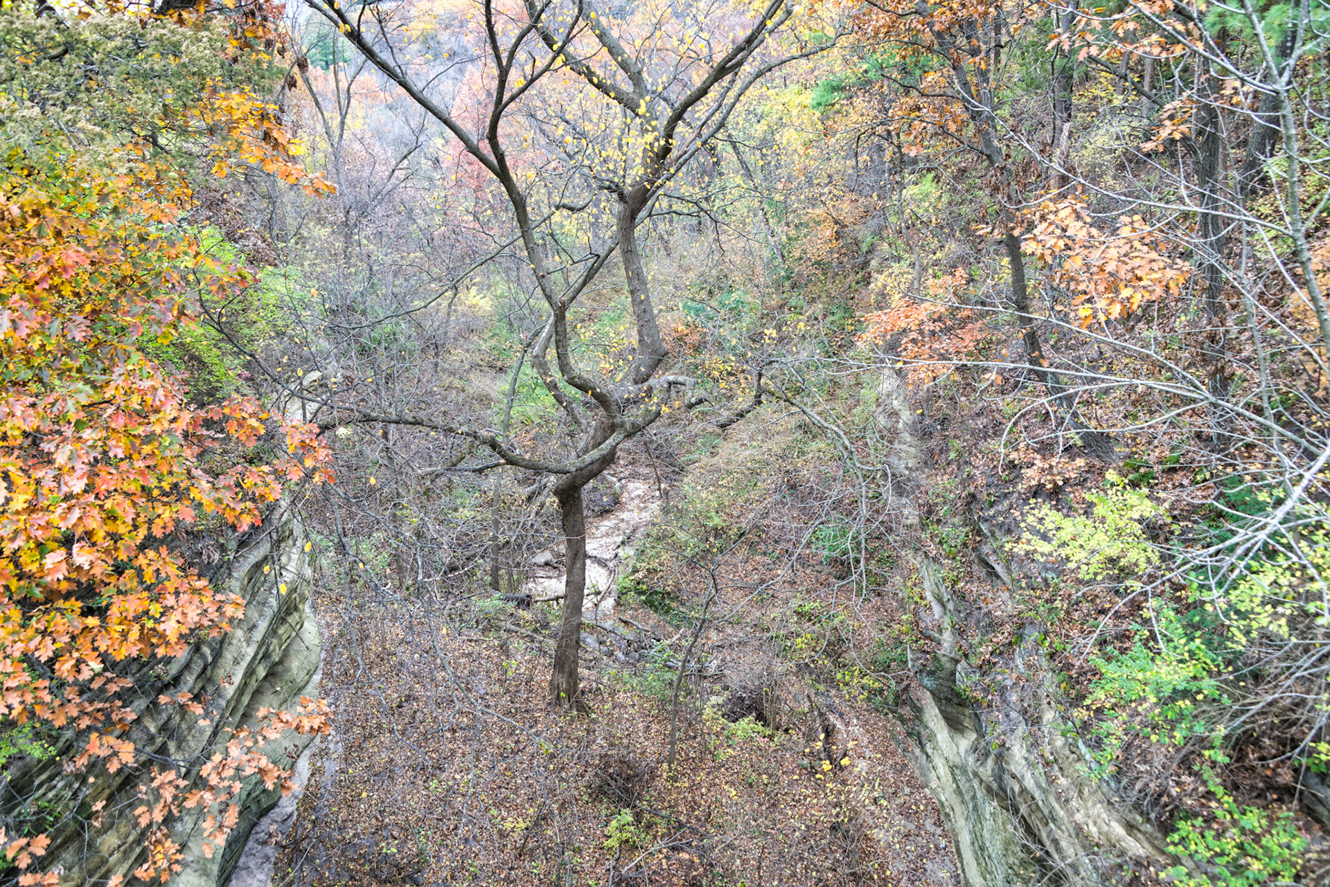 IL Starved Rock 00044