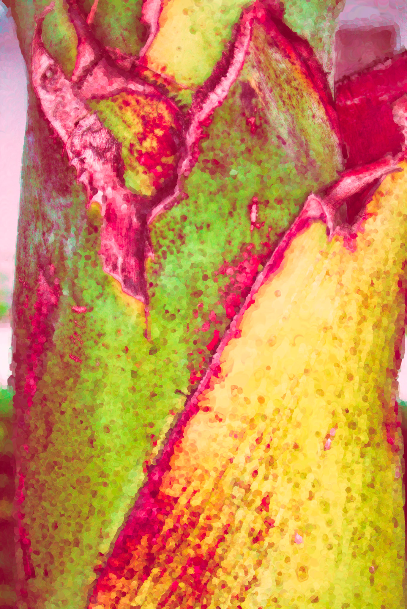 Paintings 00346