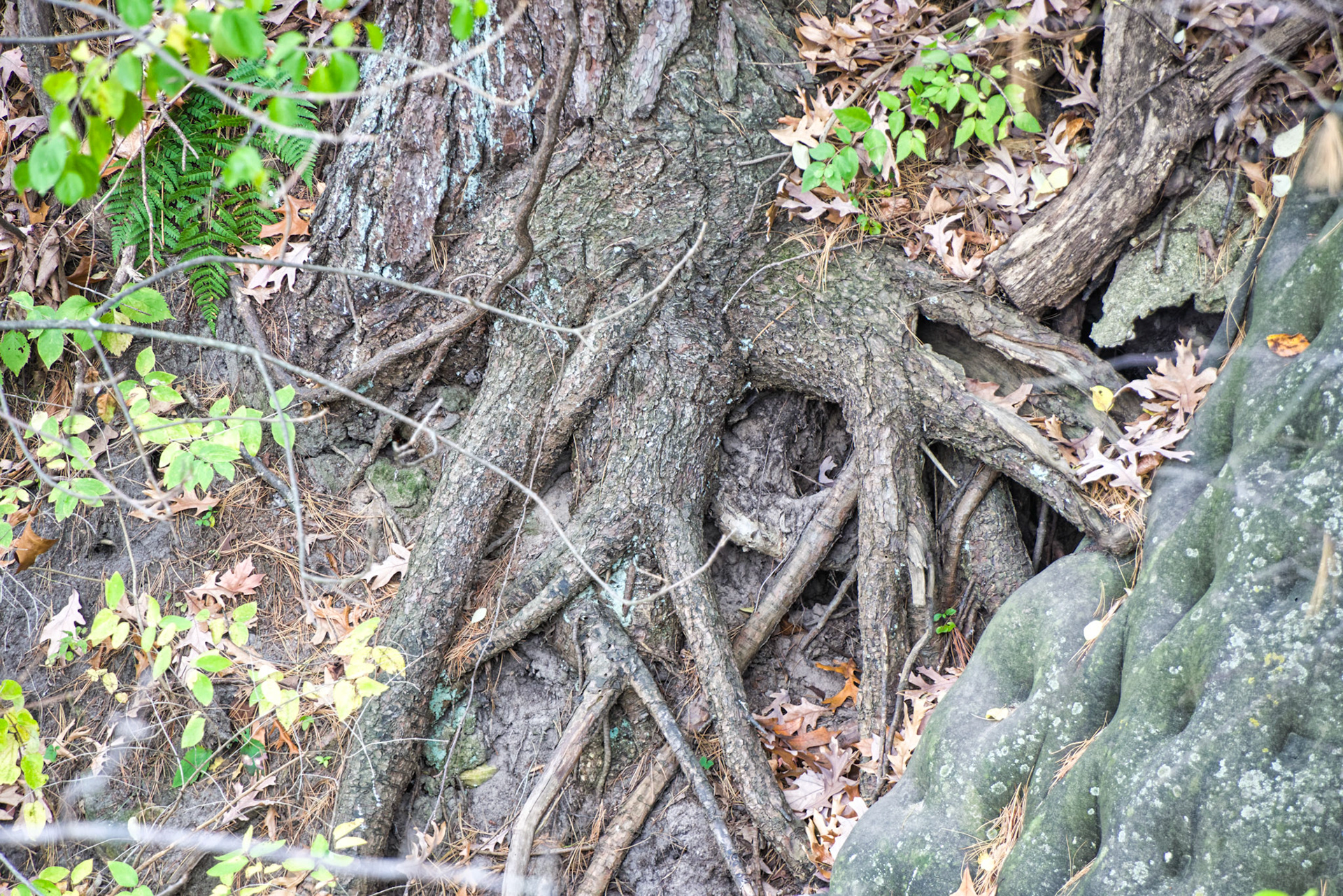 IL Starved Rock 00045