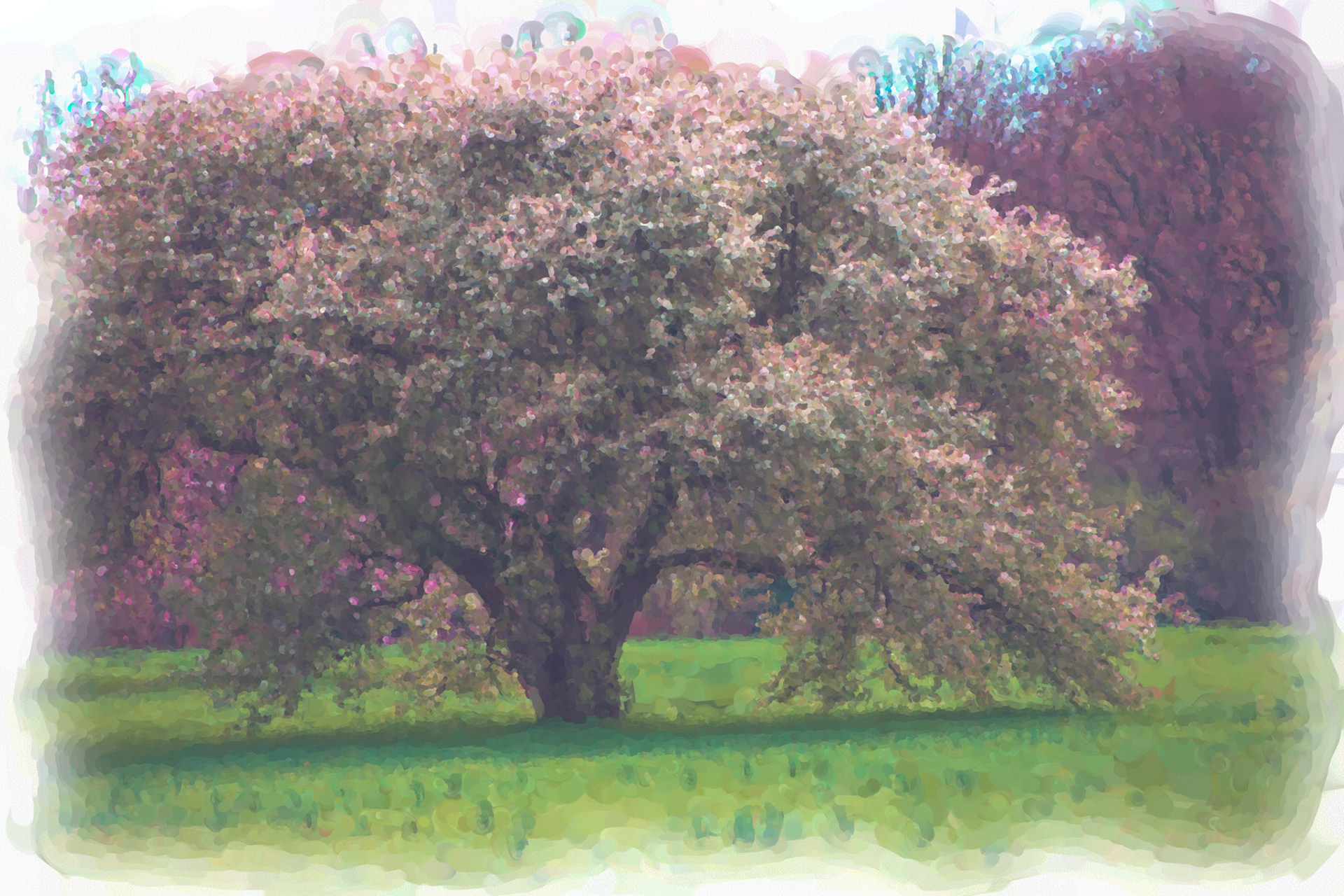 Paintings 00262
