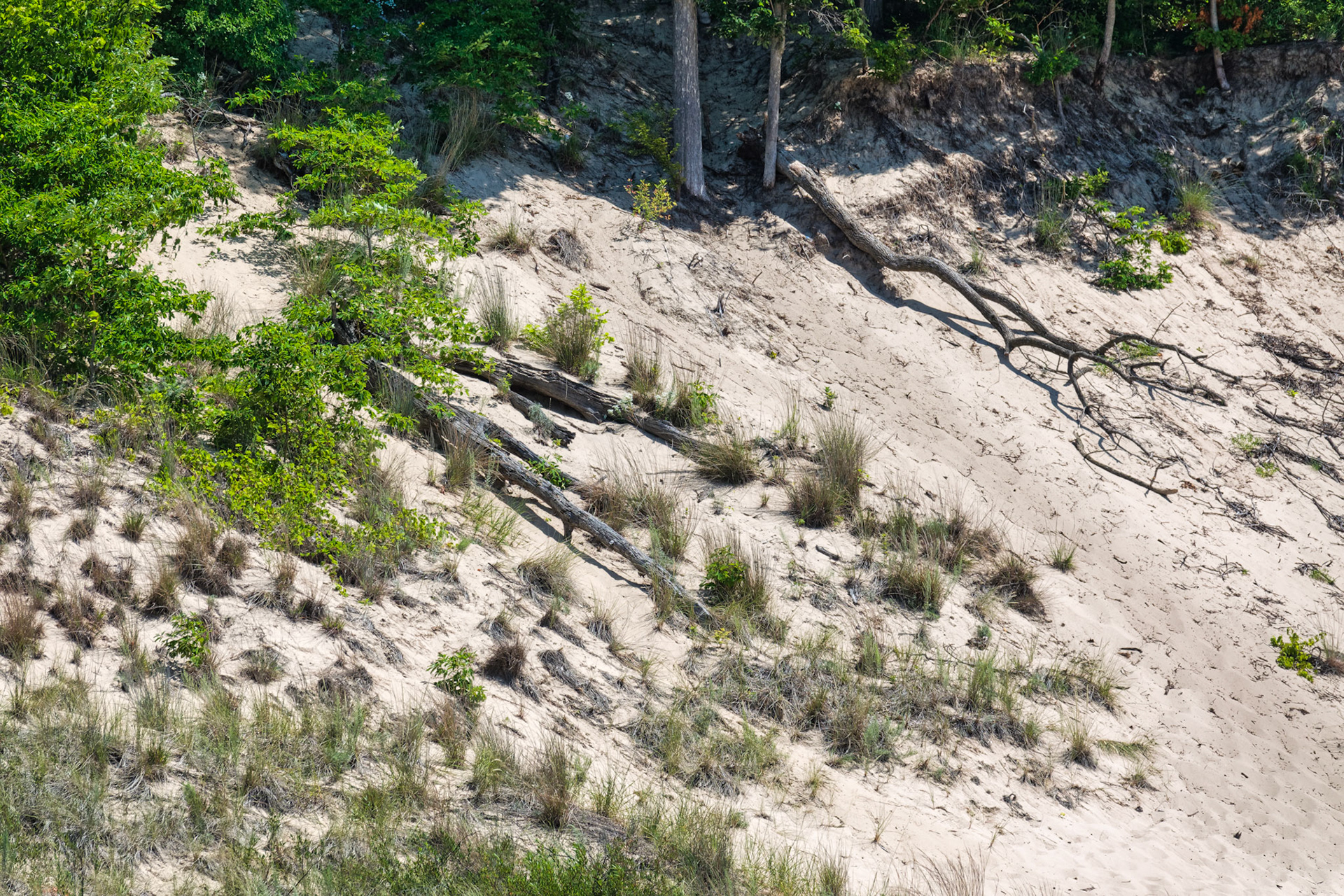 MI Dunes 00021