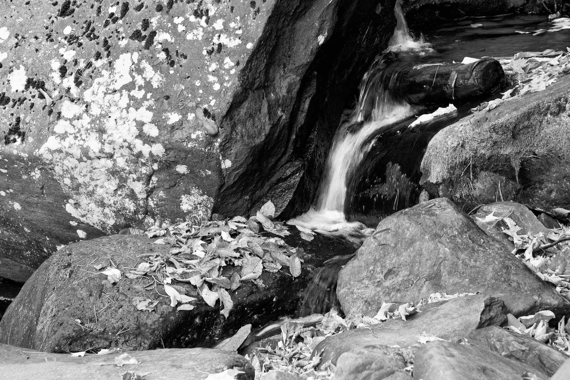 Black & White 00130