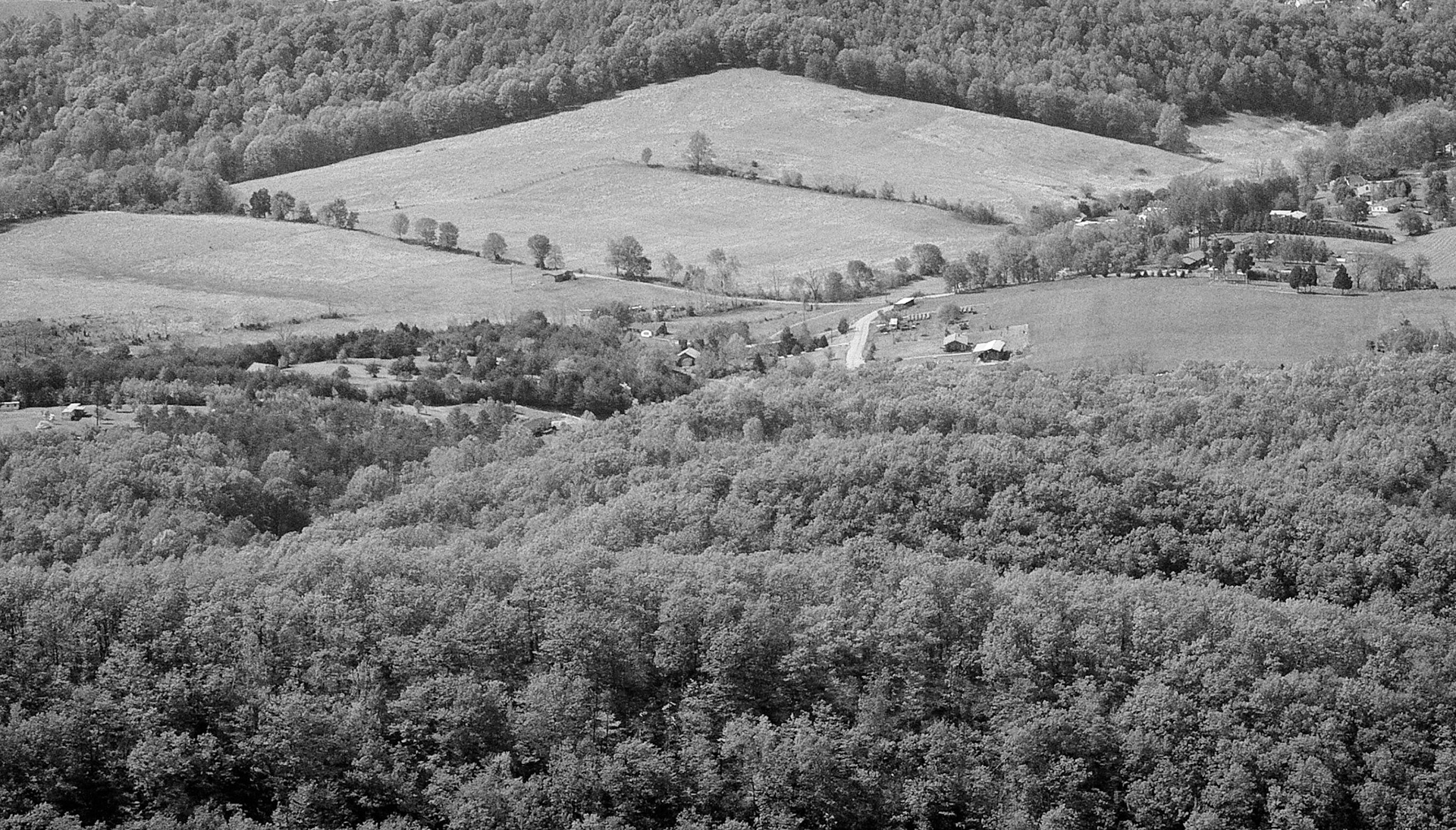 Black & White 00044