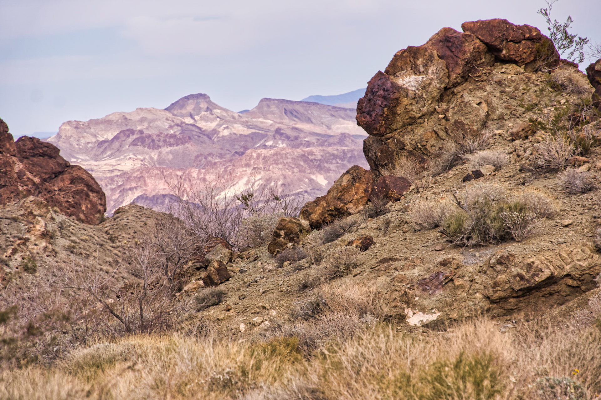 NV Desert 00036