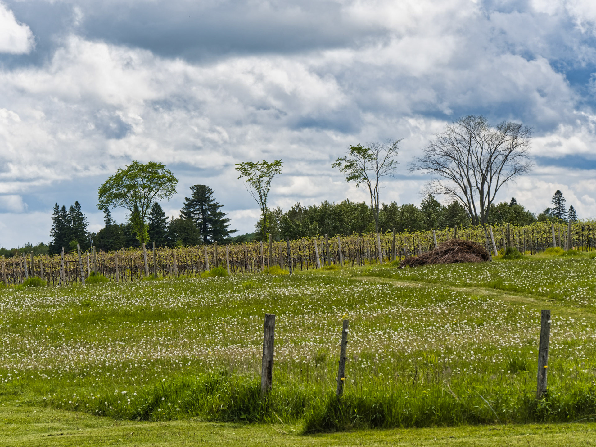 WI Fence 00235