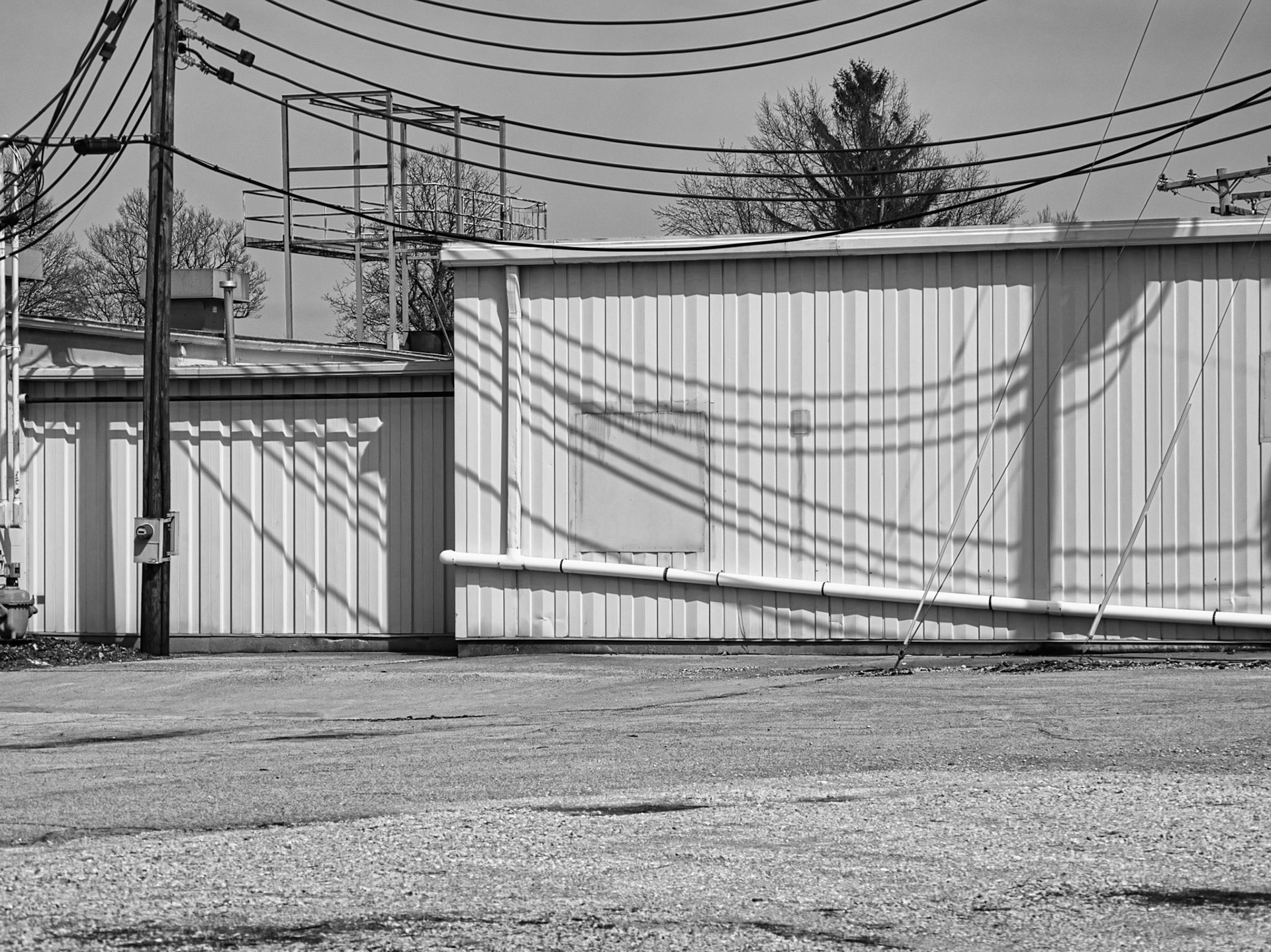 Black & White 00248