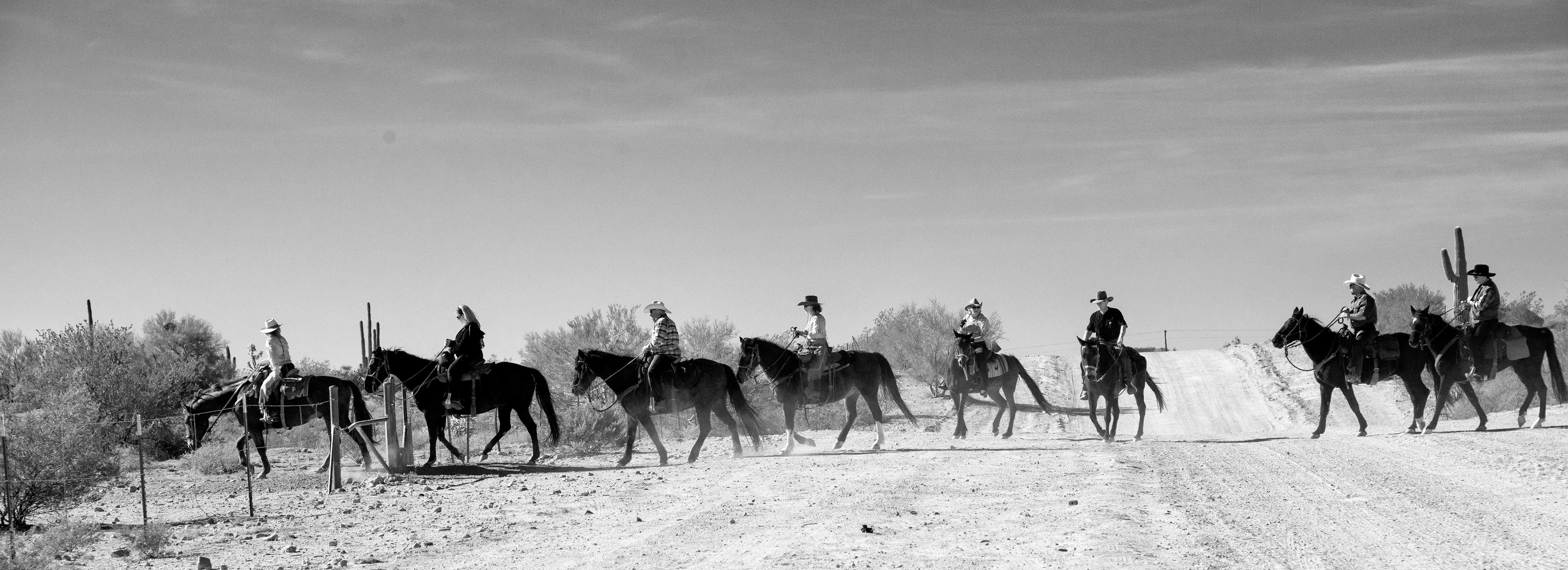 Black & White 00181