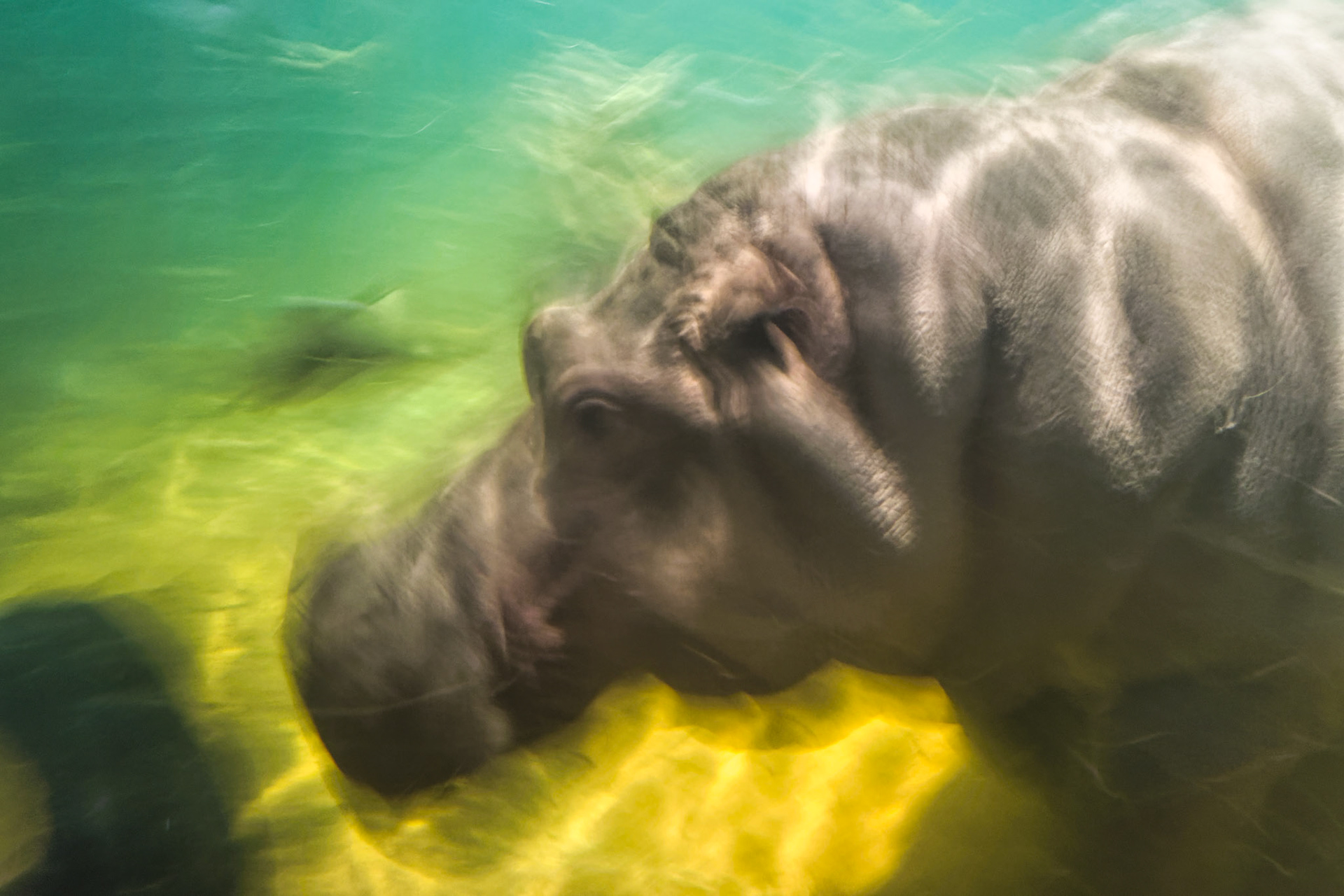 NJ Aquarium 00022