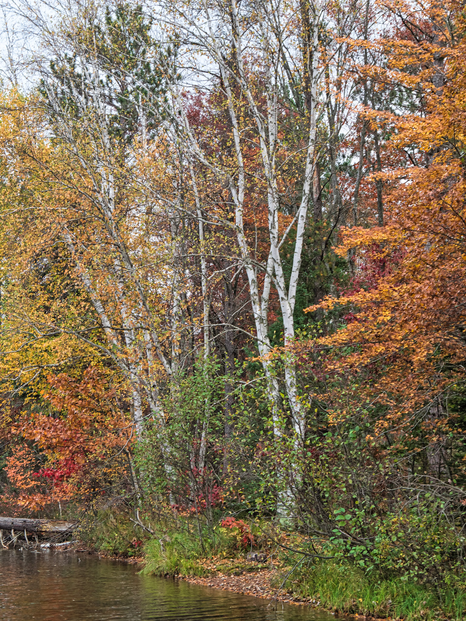 WI Fence 00141