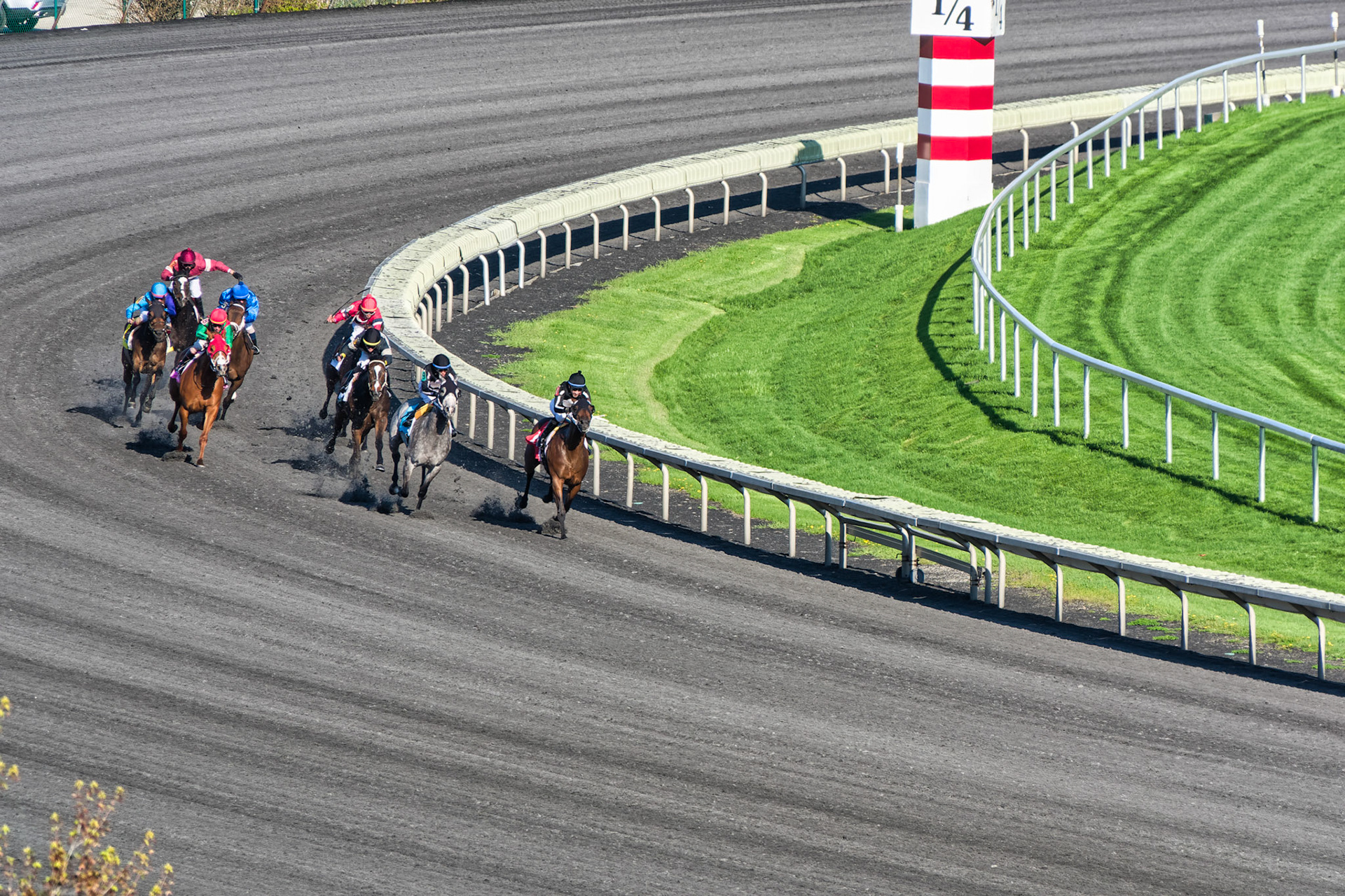 IL Arlington Park 00059