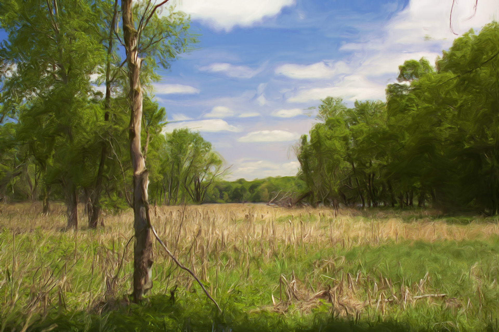Paintings 00048
