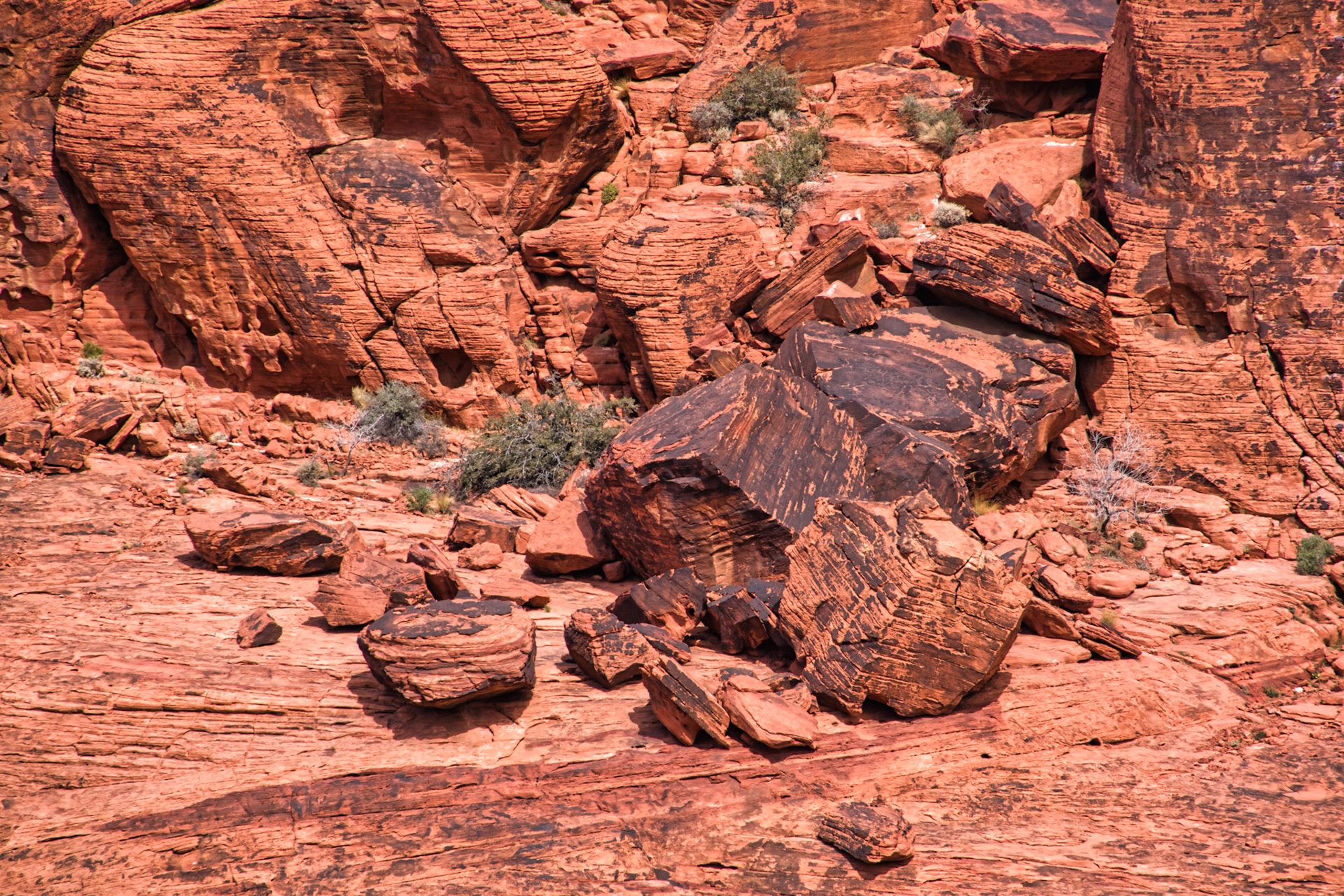 NV Desert 00186