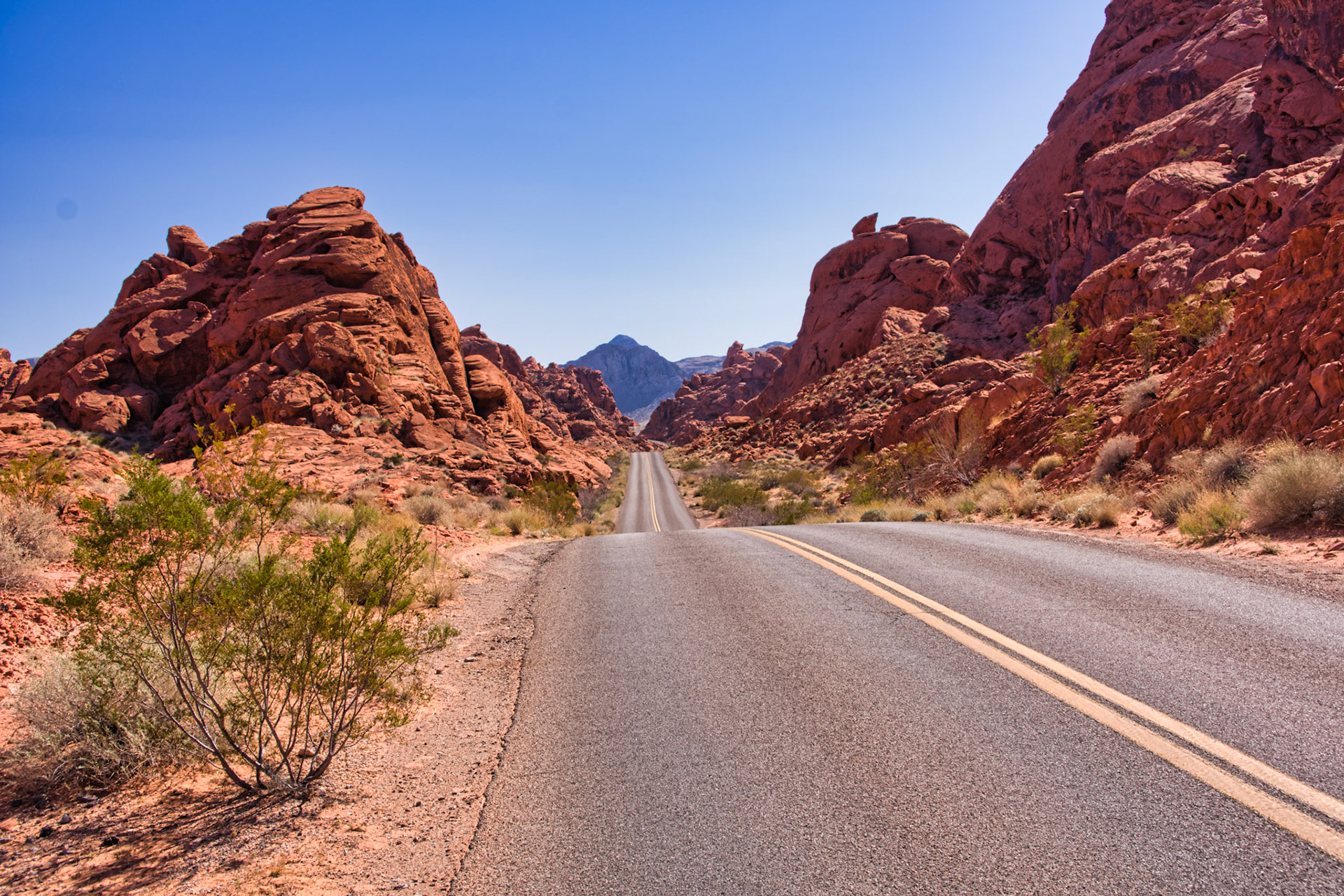 NV Desert 00146