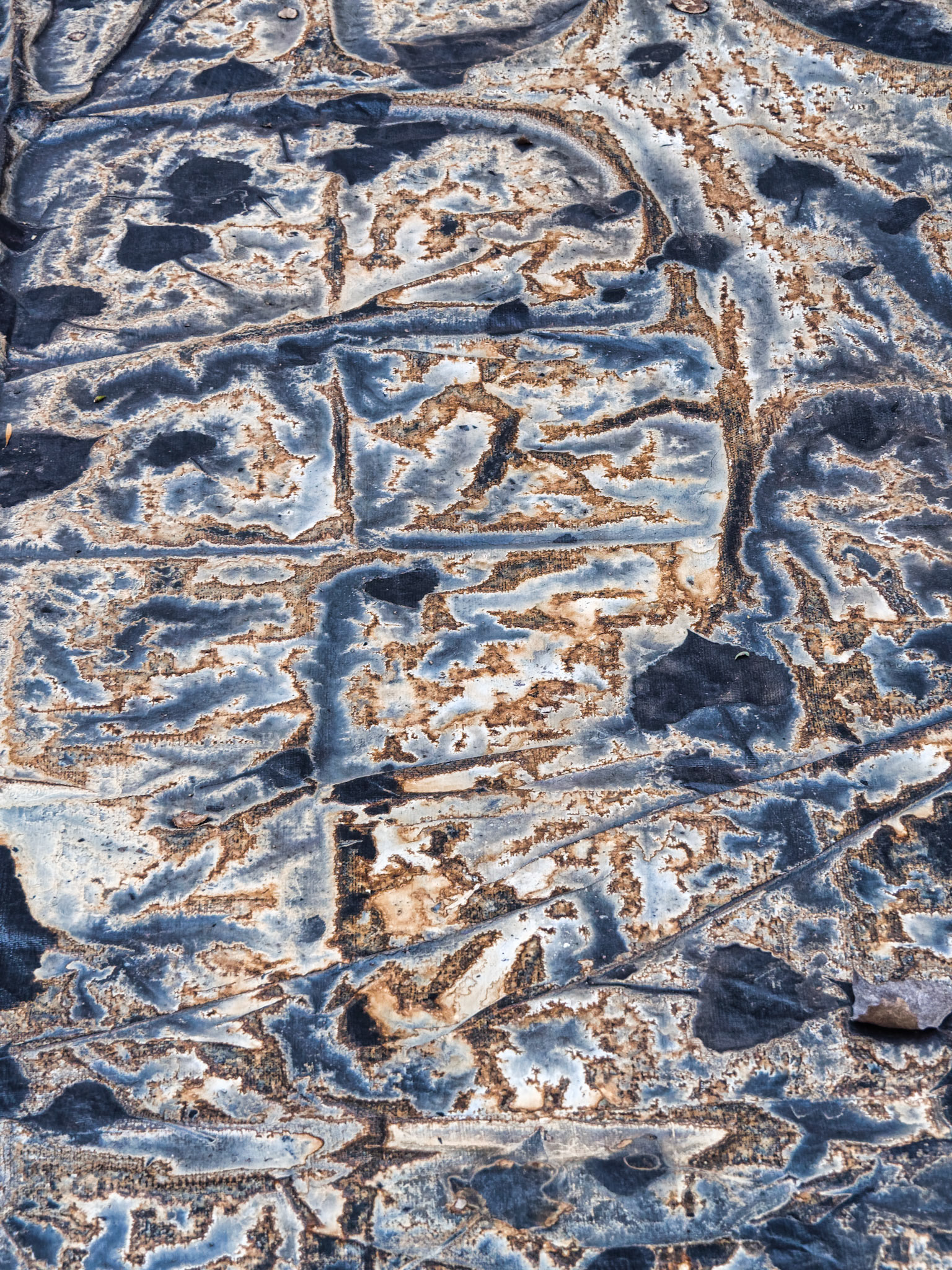 IL Miscellaneous 00105