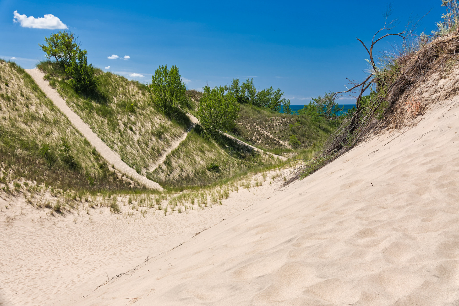 MI Dunes 00052