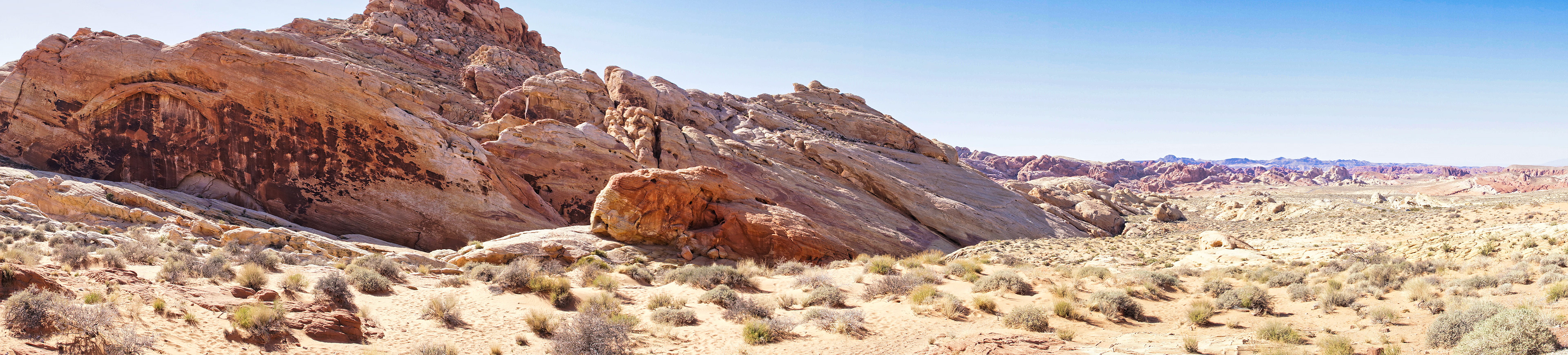 NV Desert 00121
