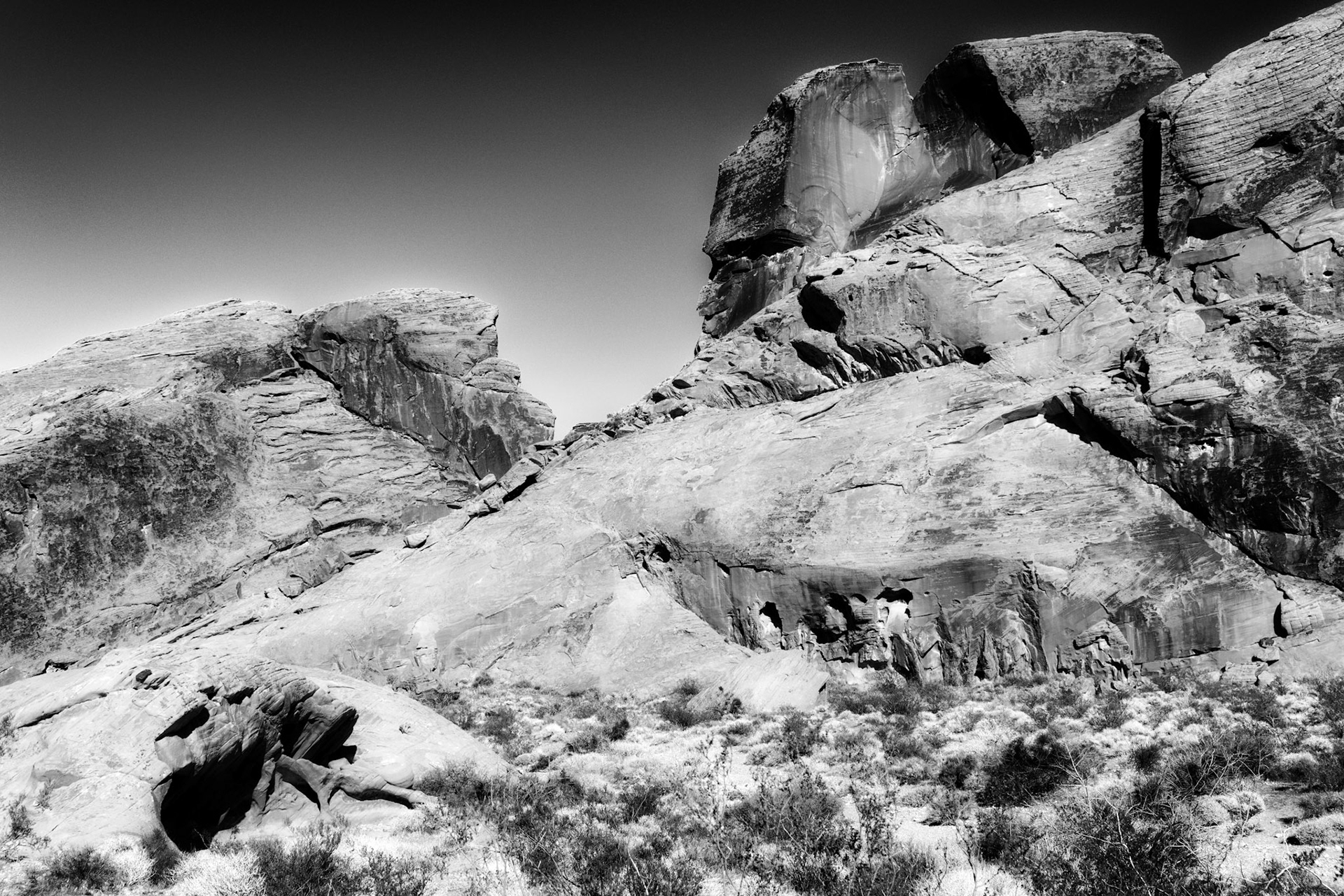 Black & White 00196