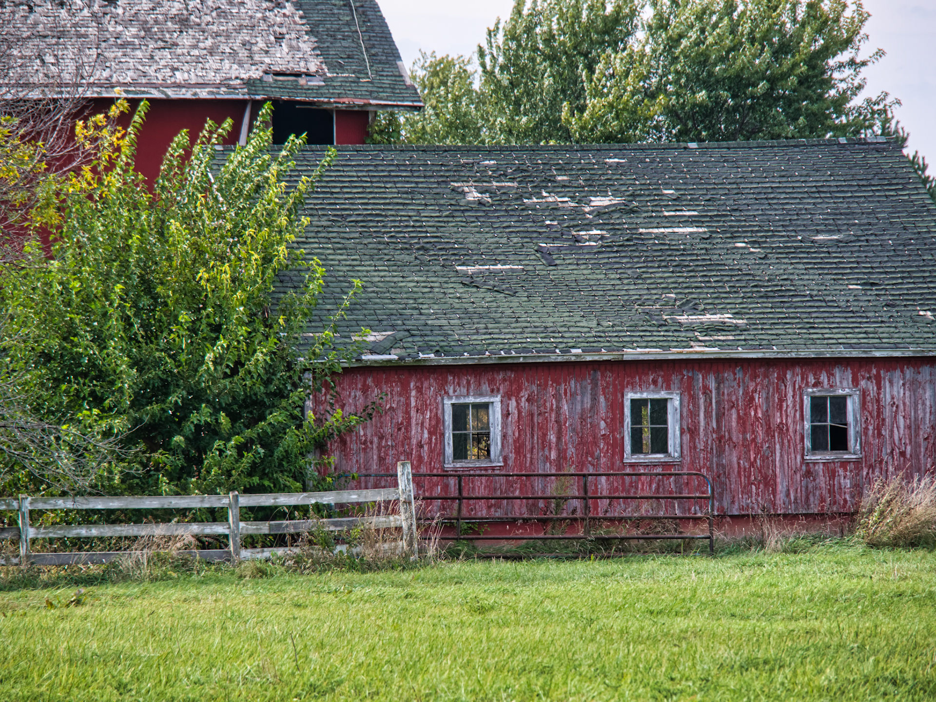 IL Miscellaneous 00124