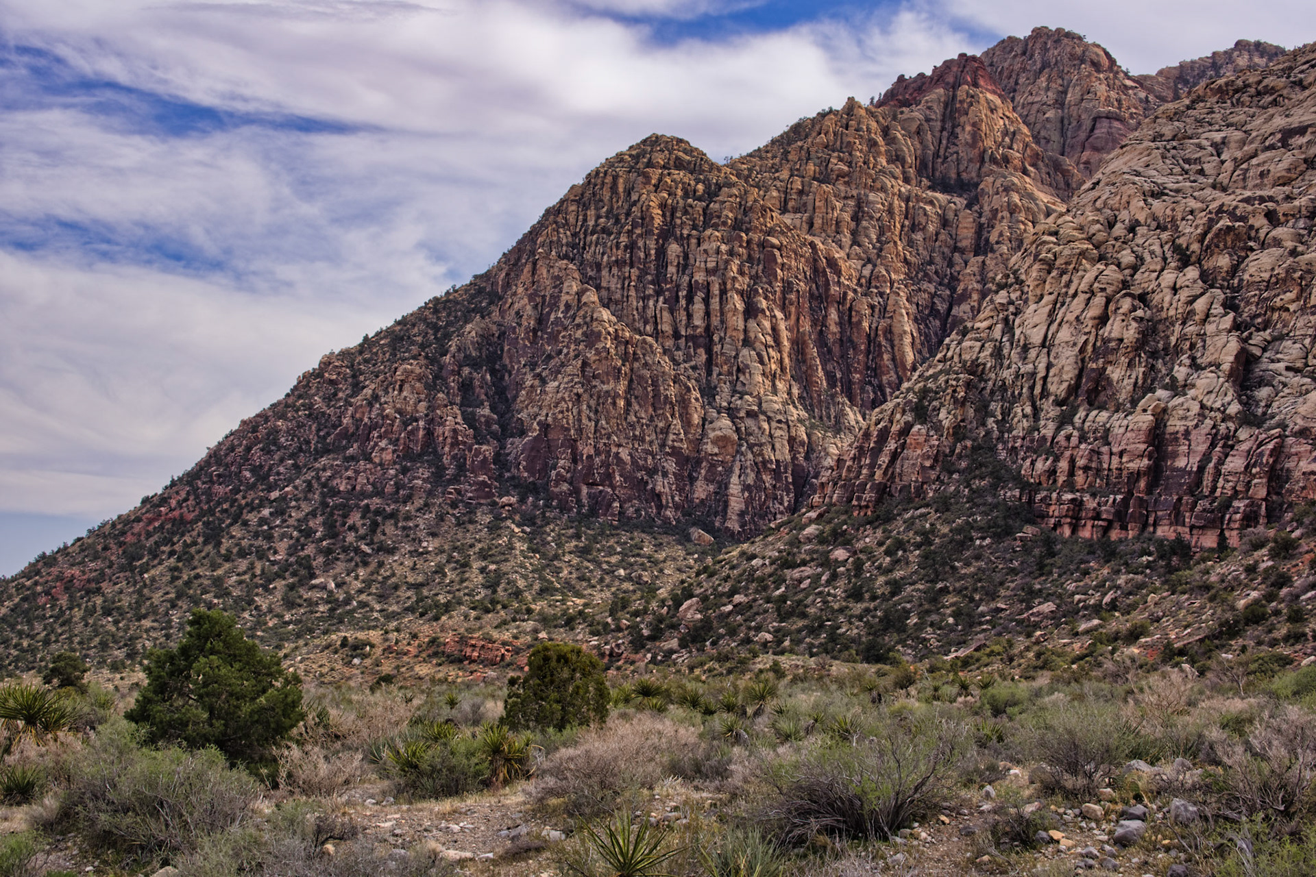 NV Desert 00174