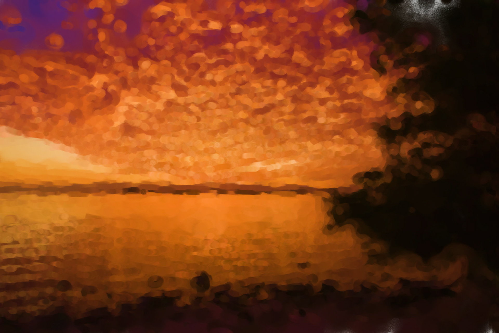 Paintings 00081