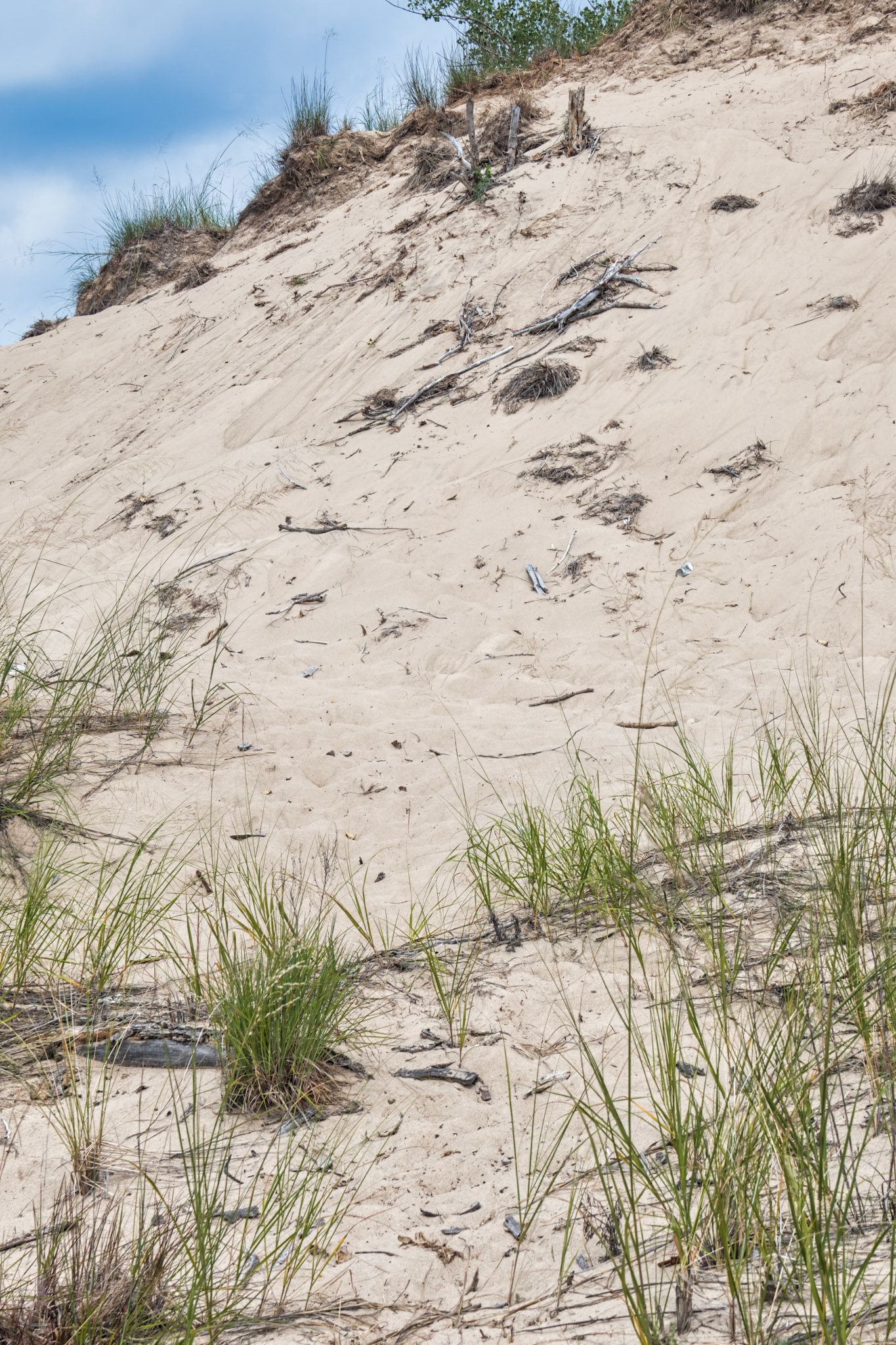 MI Dunes 00012