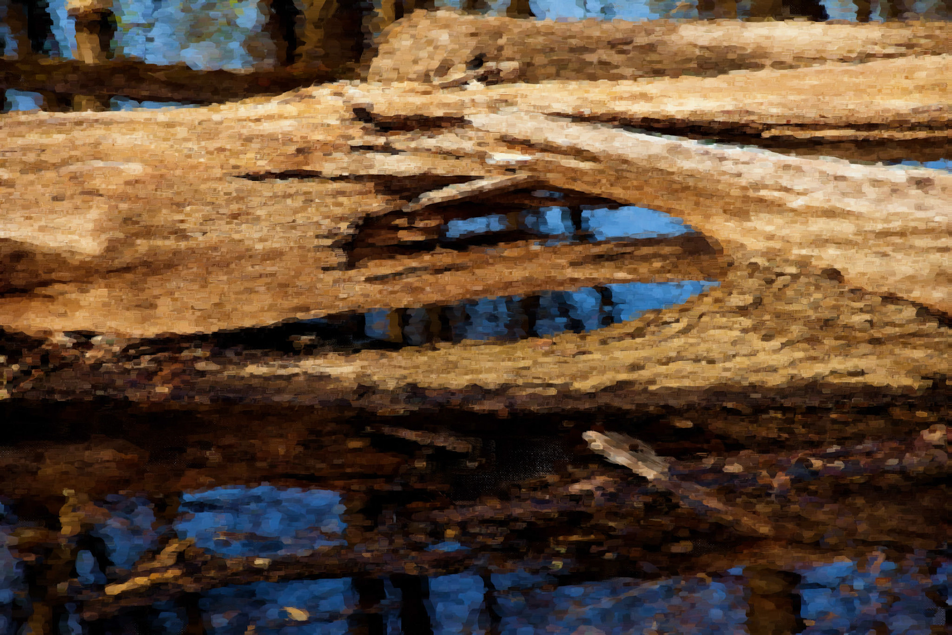Paintings 00270