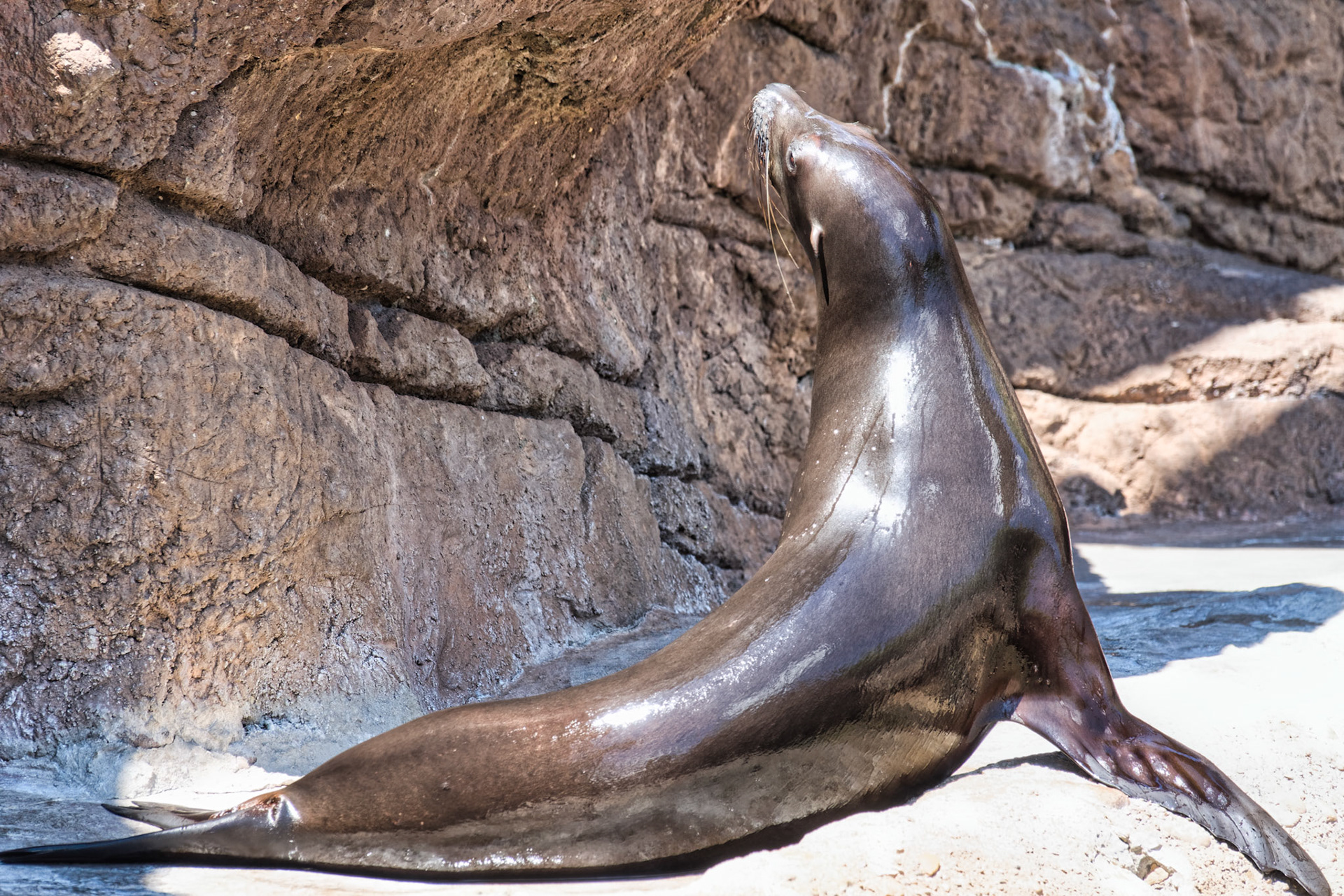 IN Zoo 00104