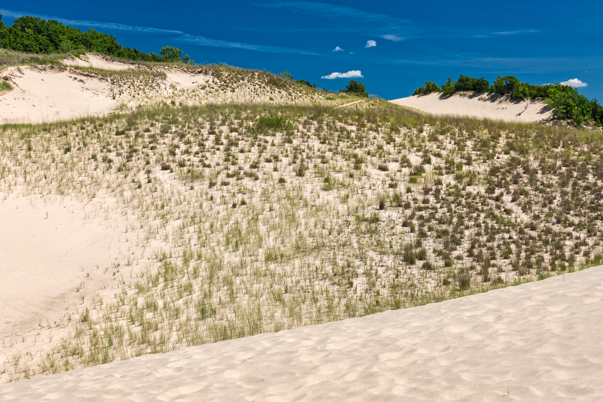 MI Dunes 00042