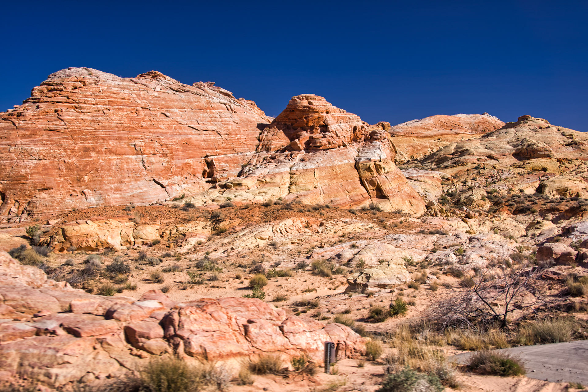 NV Desert 00105