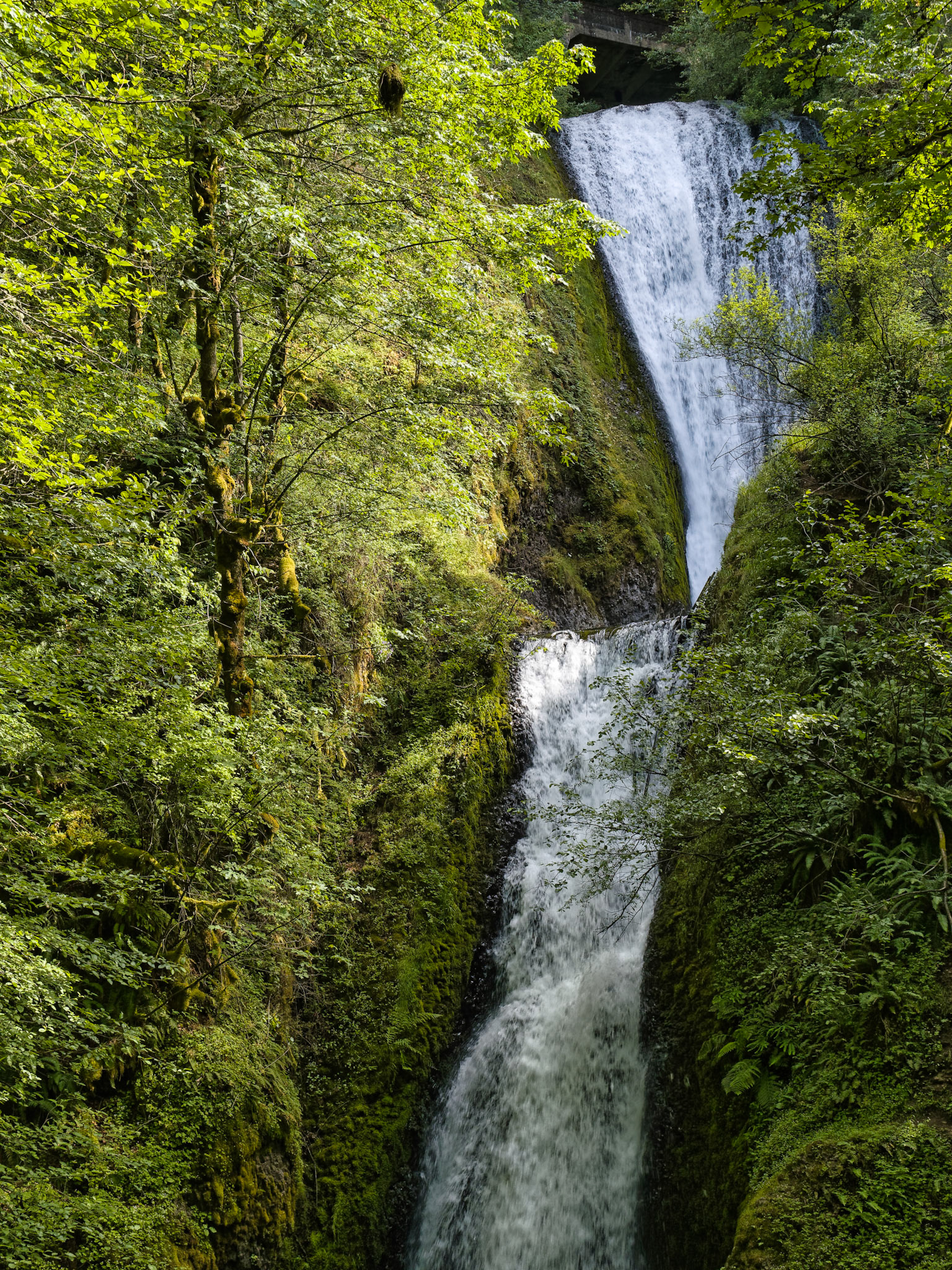 OR Portland 00055