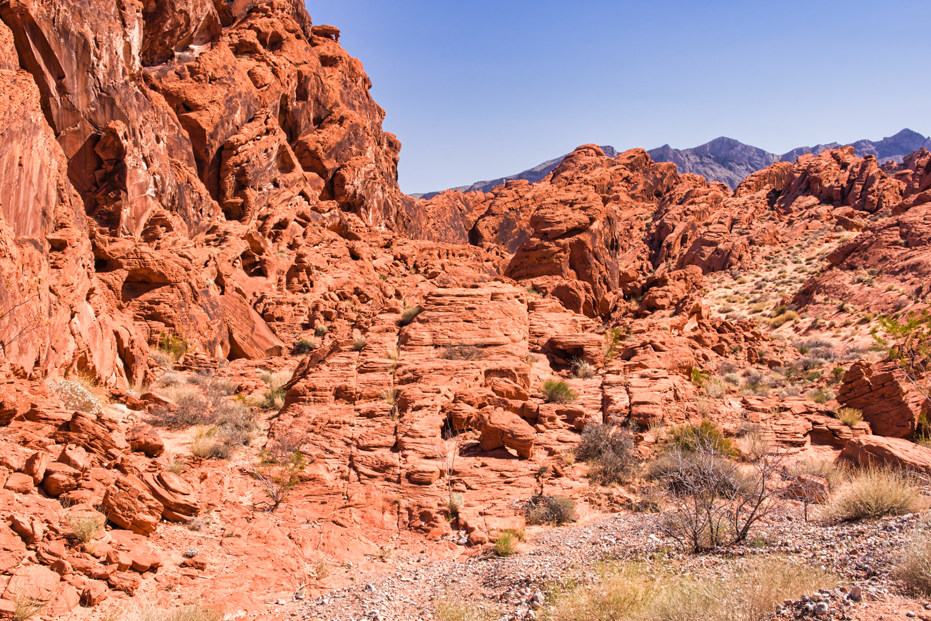 NV Desert 00143
